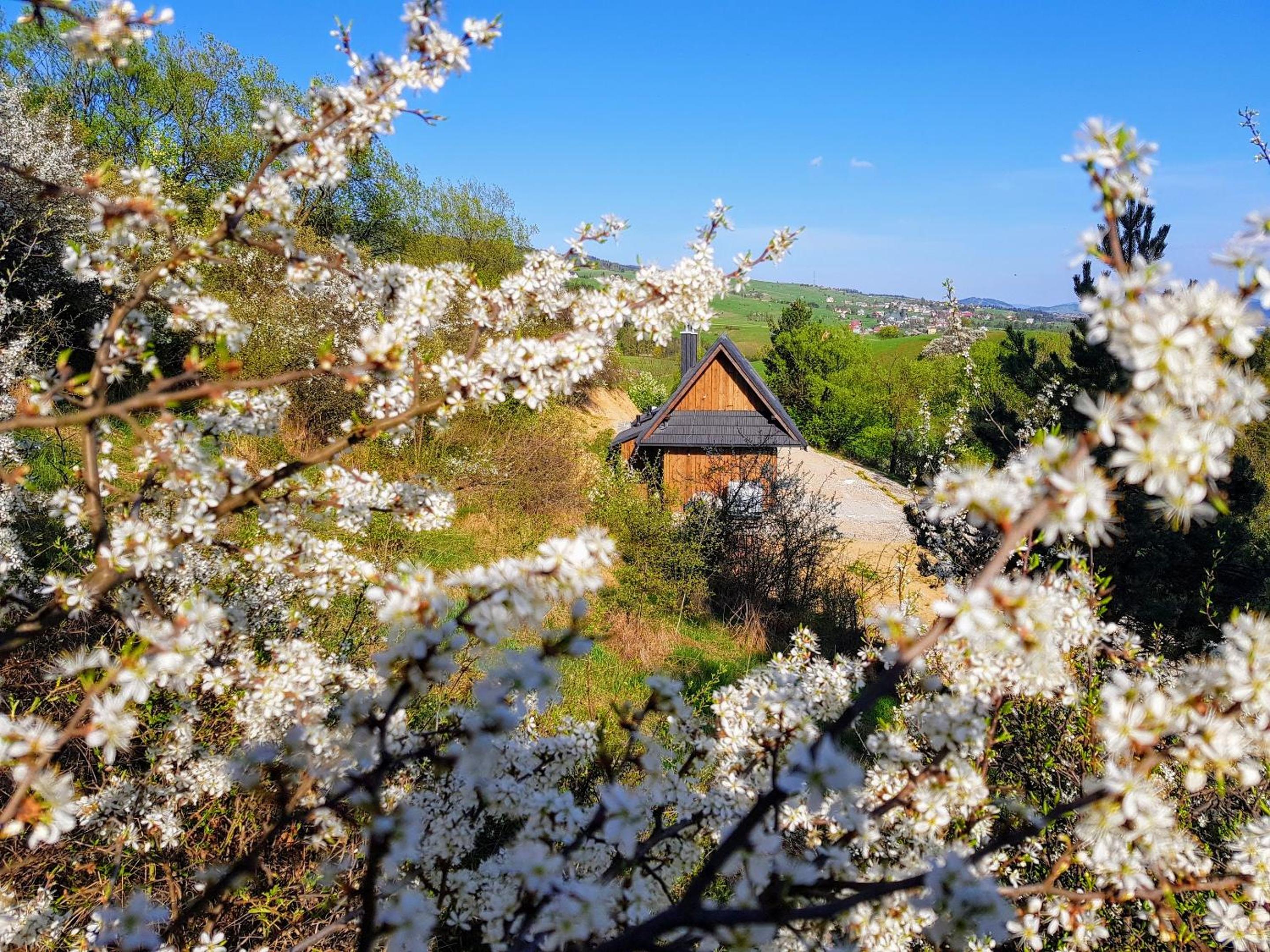 Osada Knurów view 4