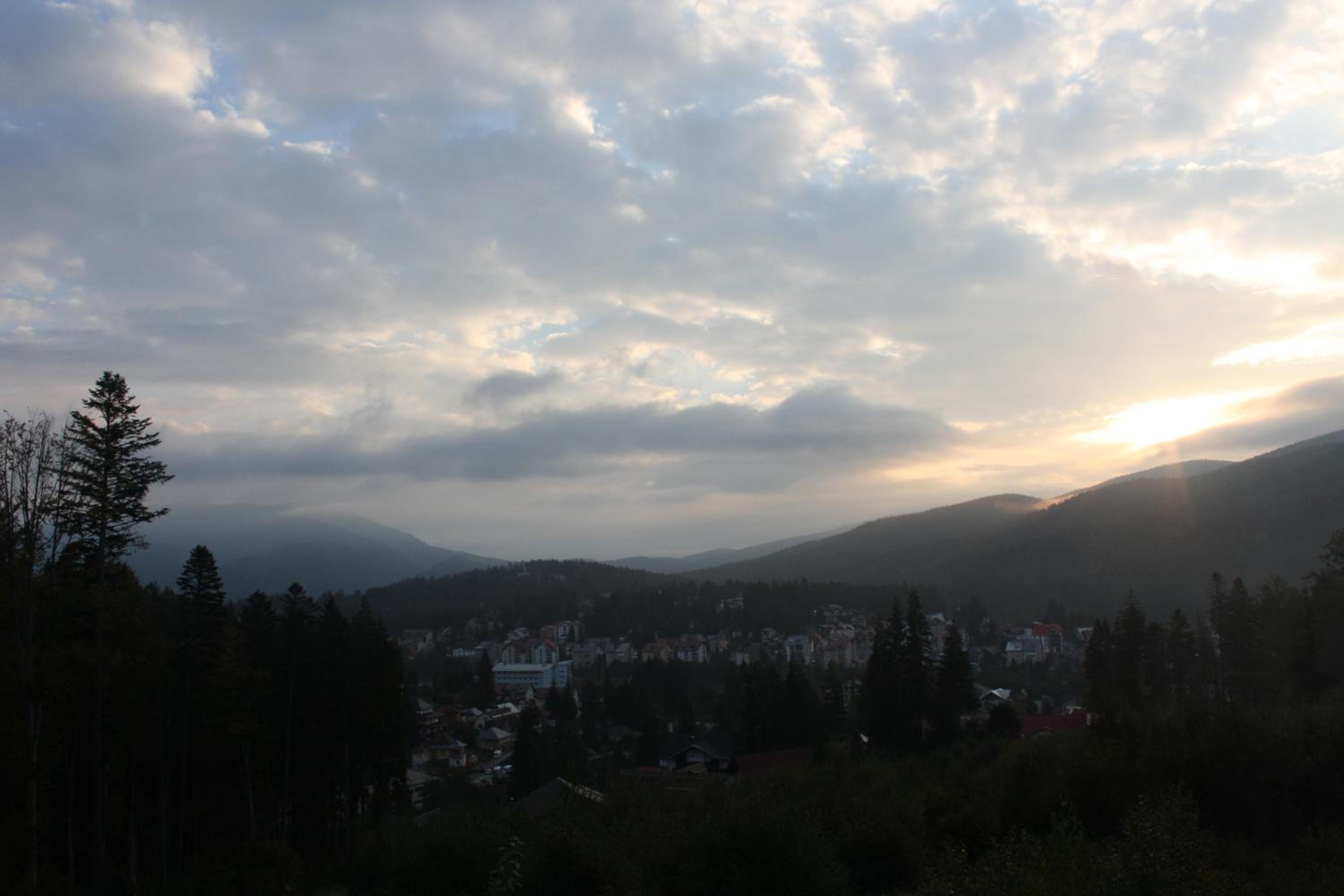 Photo 31