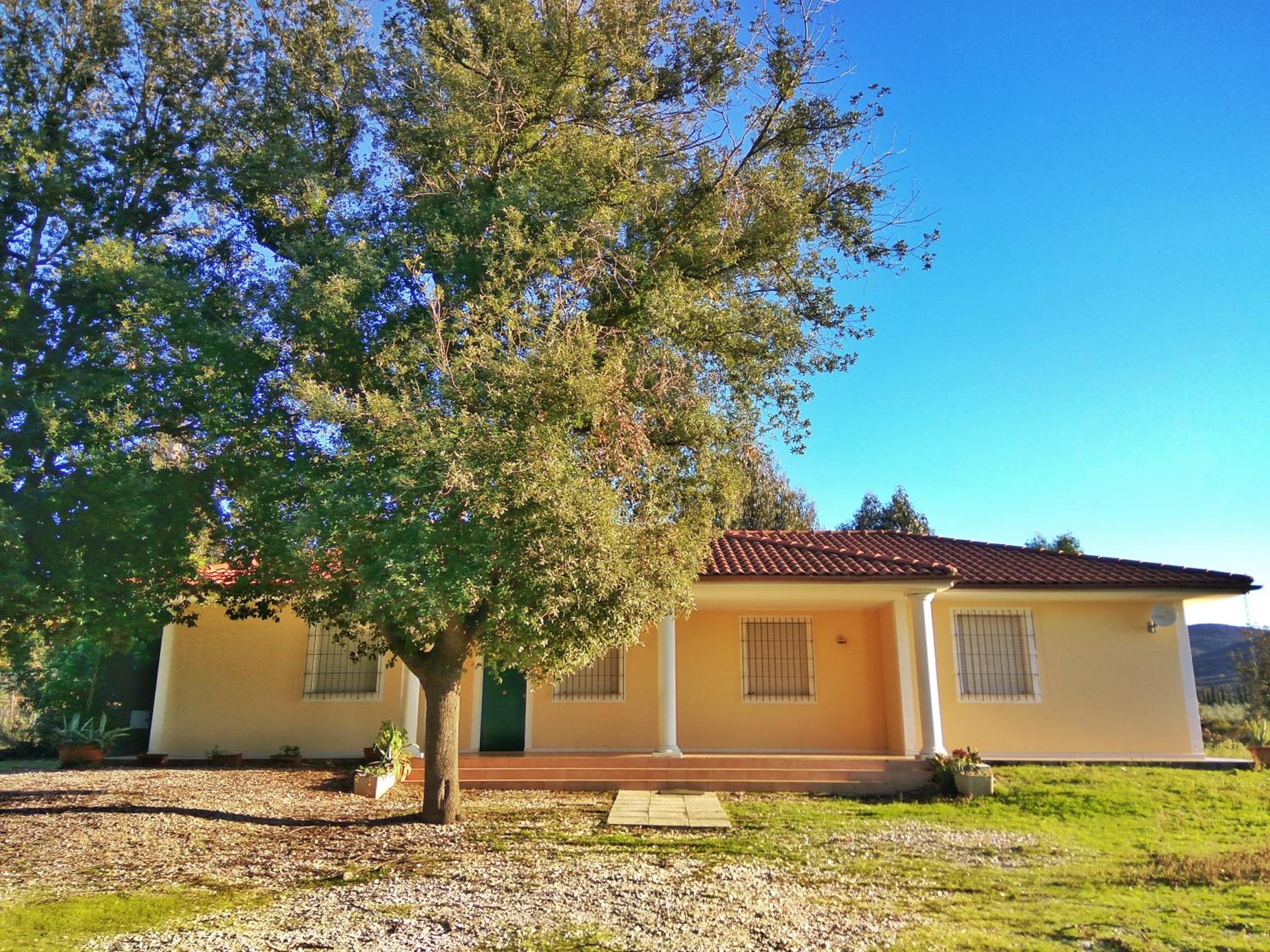 Villa Eucalipti view 2