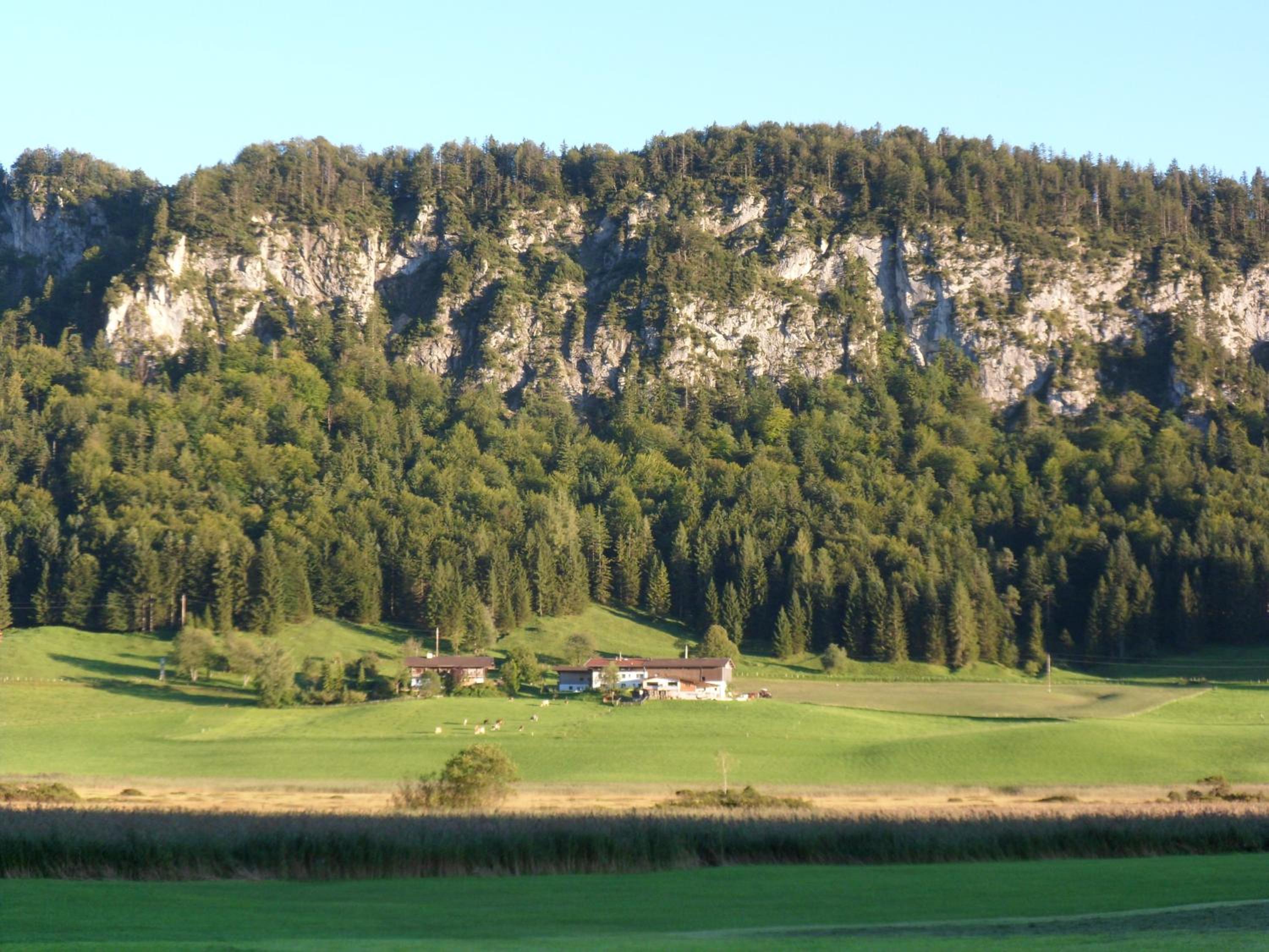 Pfandlhof