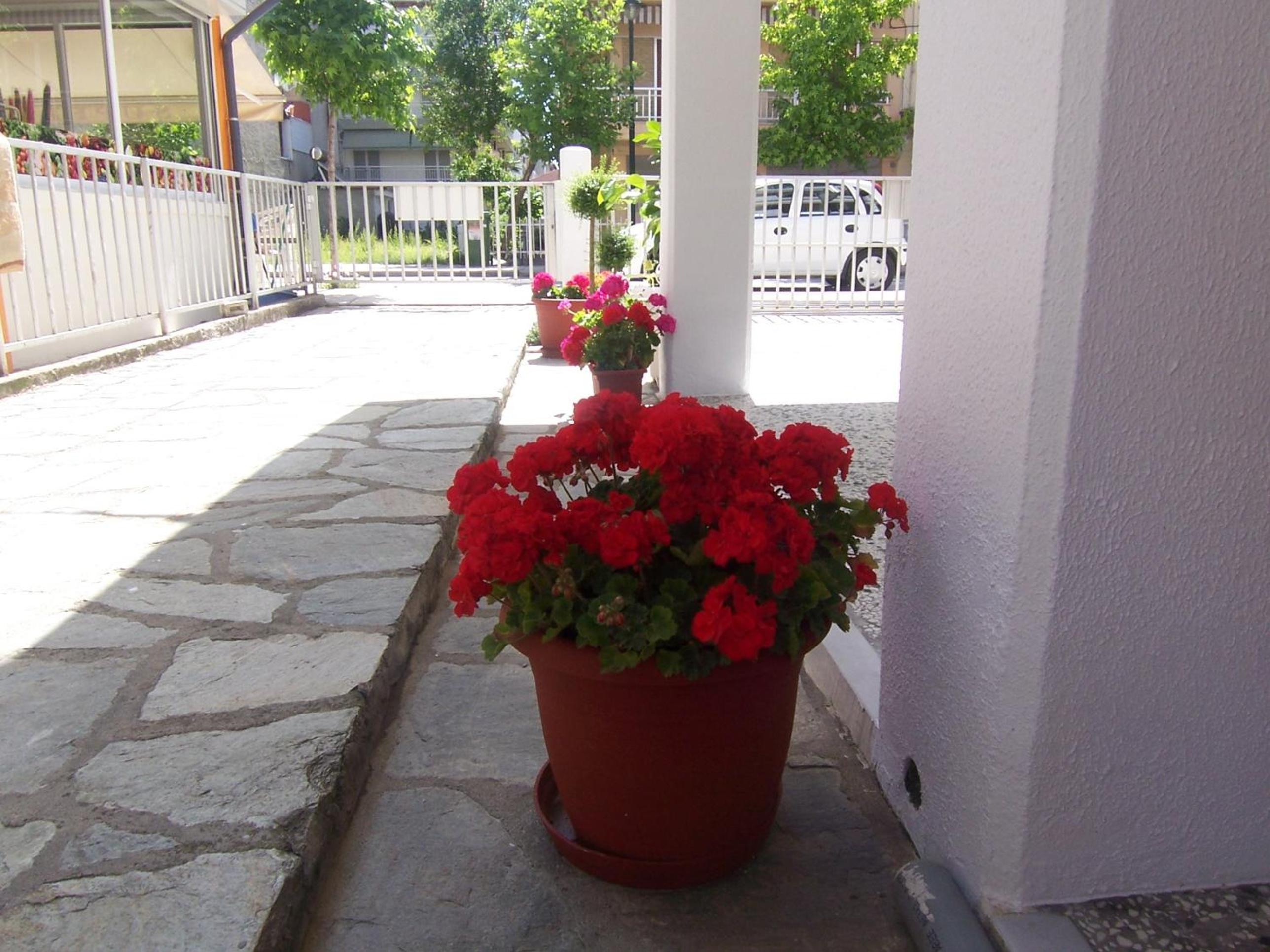Photo 40