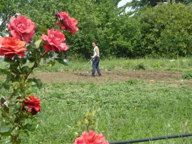 Il CASALE NELLA TUSCIA. BIOFARM. Casa nel Giardino photo 2