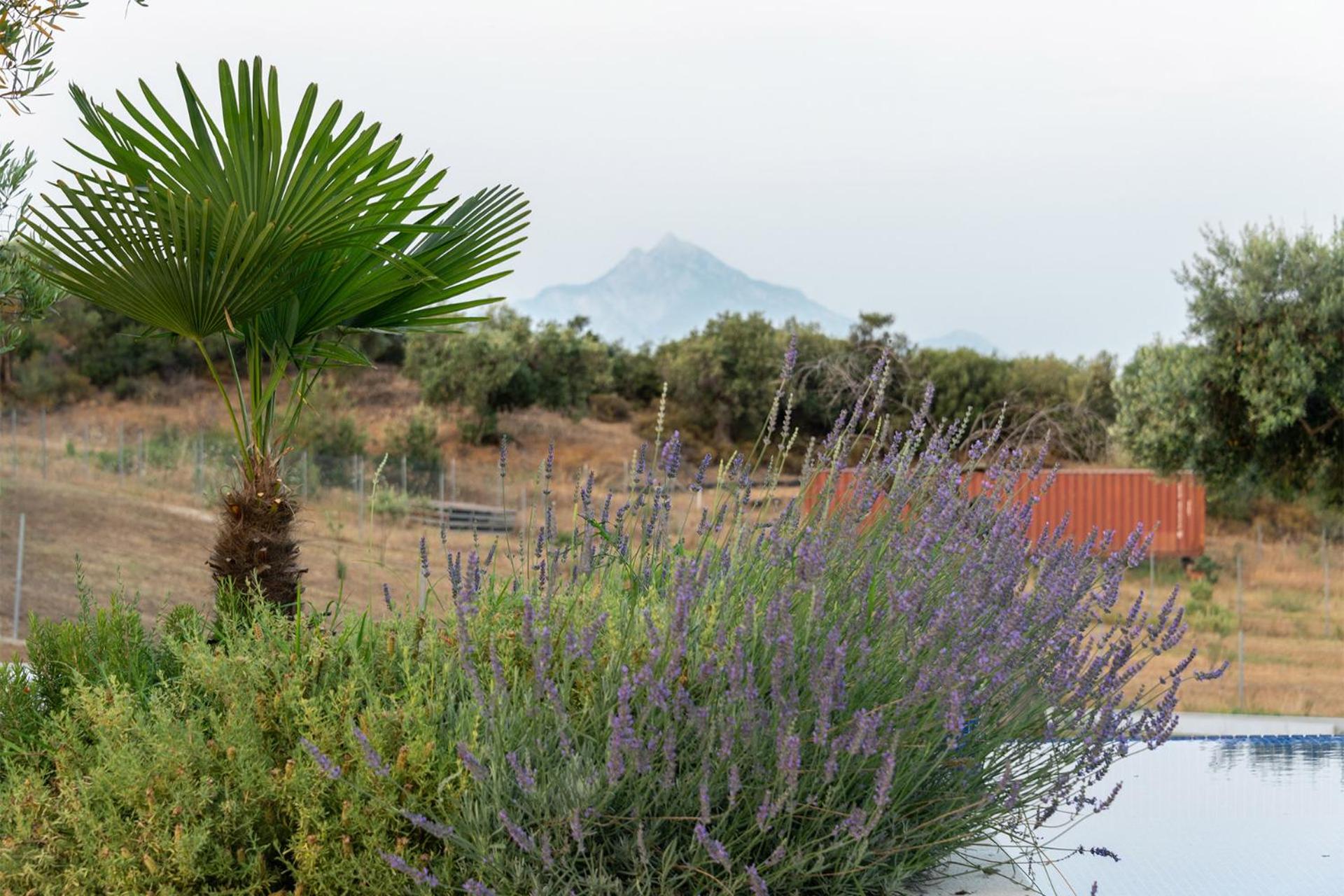 Afisia Villas