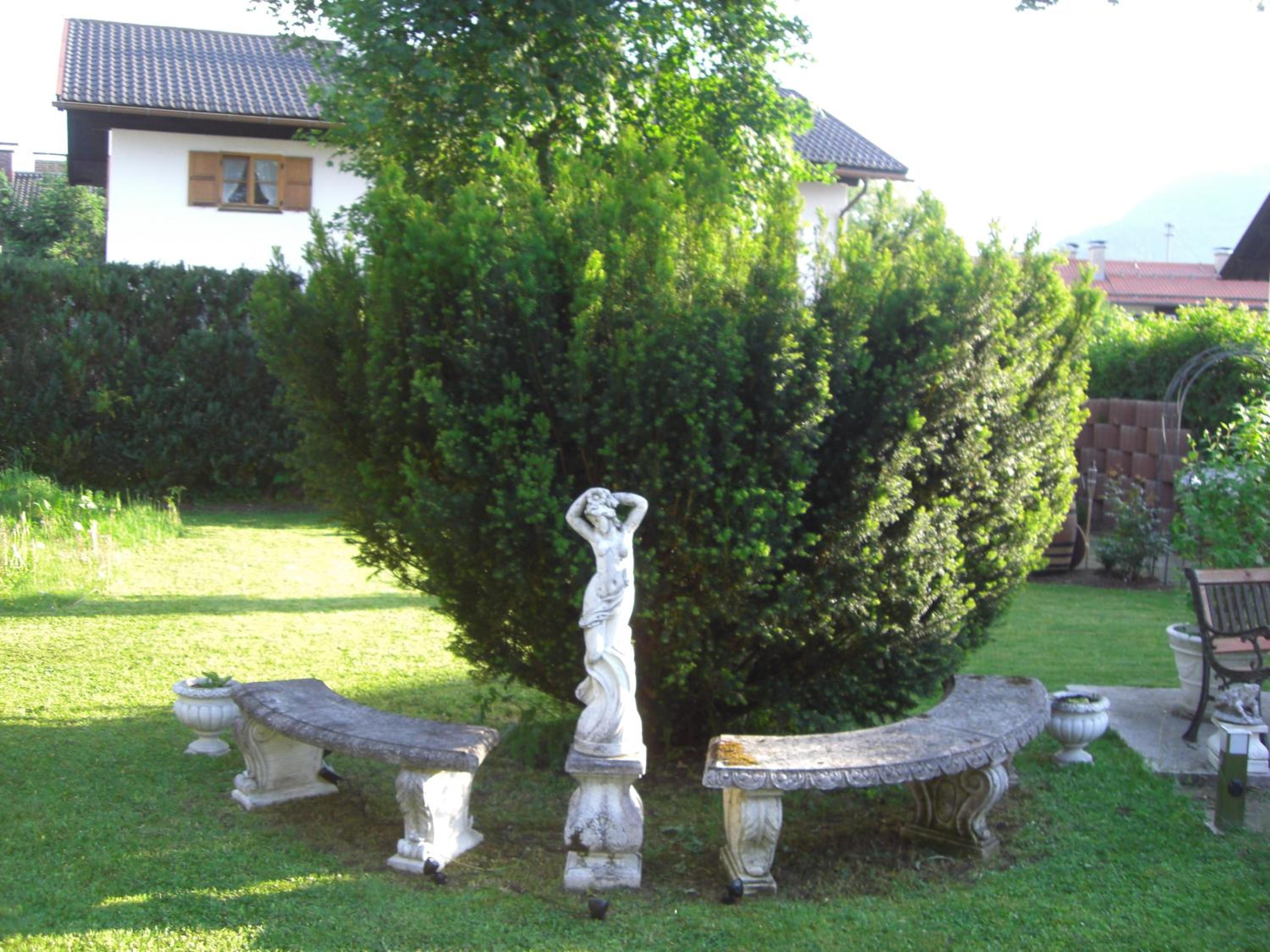 Photo 38