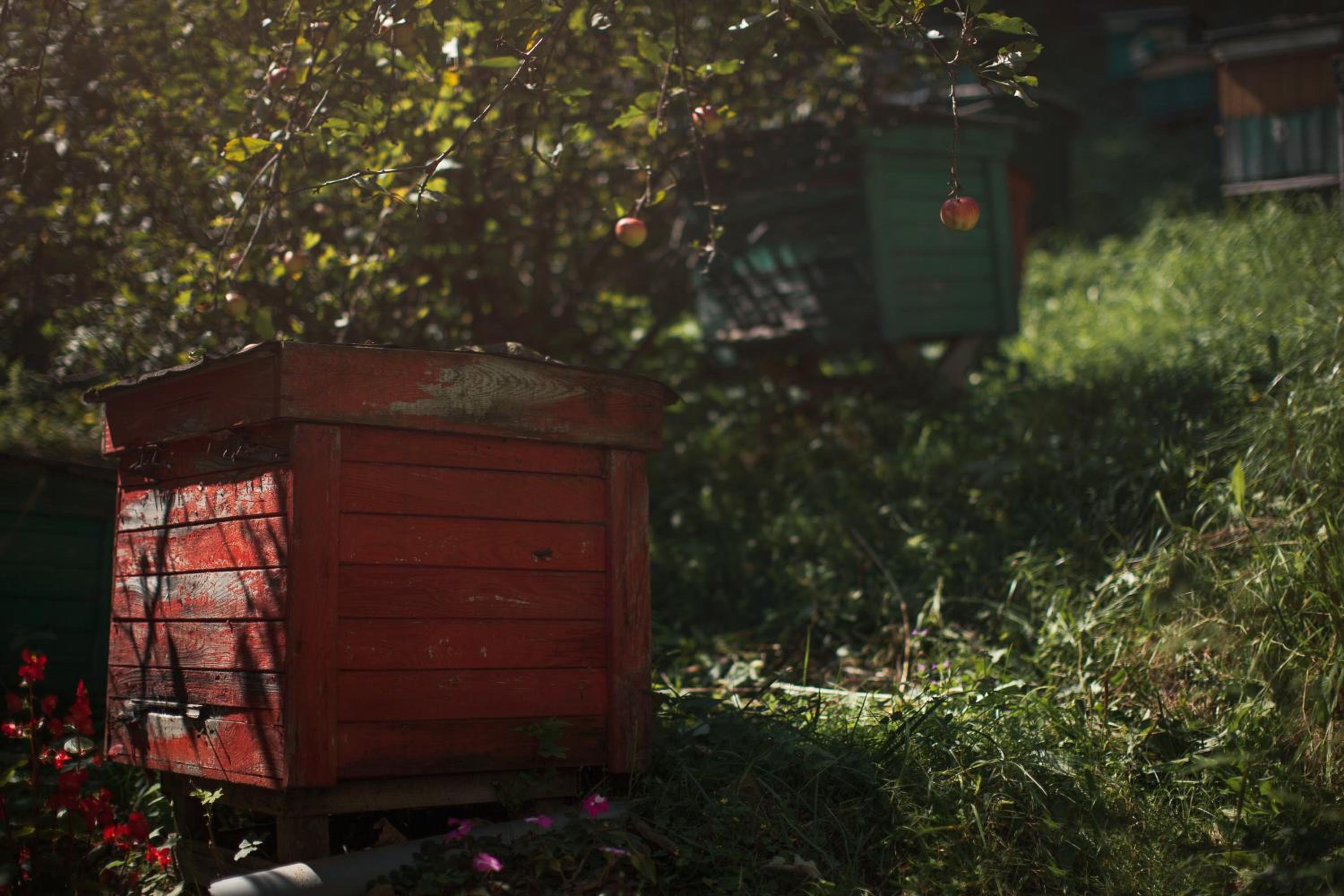 Pasieka - Dom Wypoczynkowy - Property Image 42