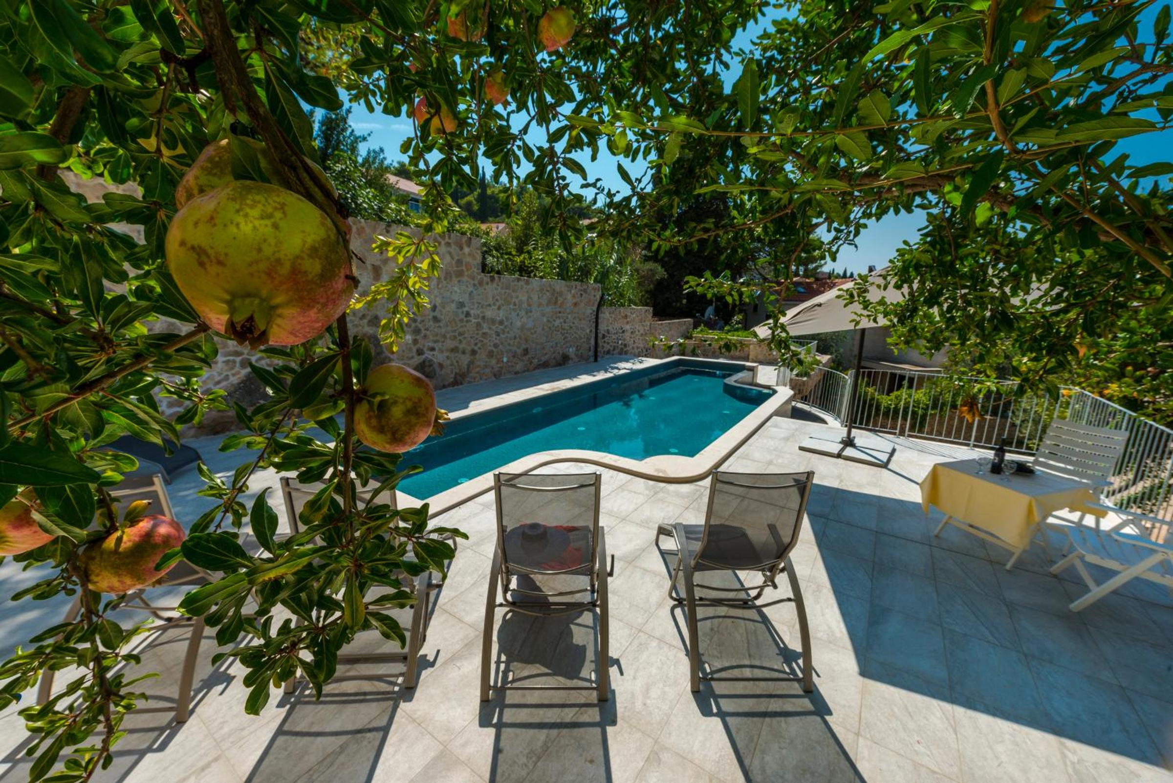 Apartment Obradovic