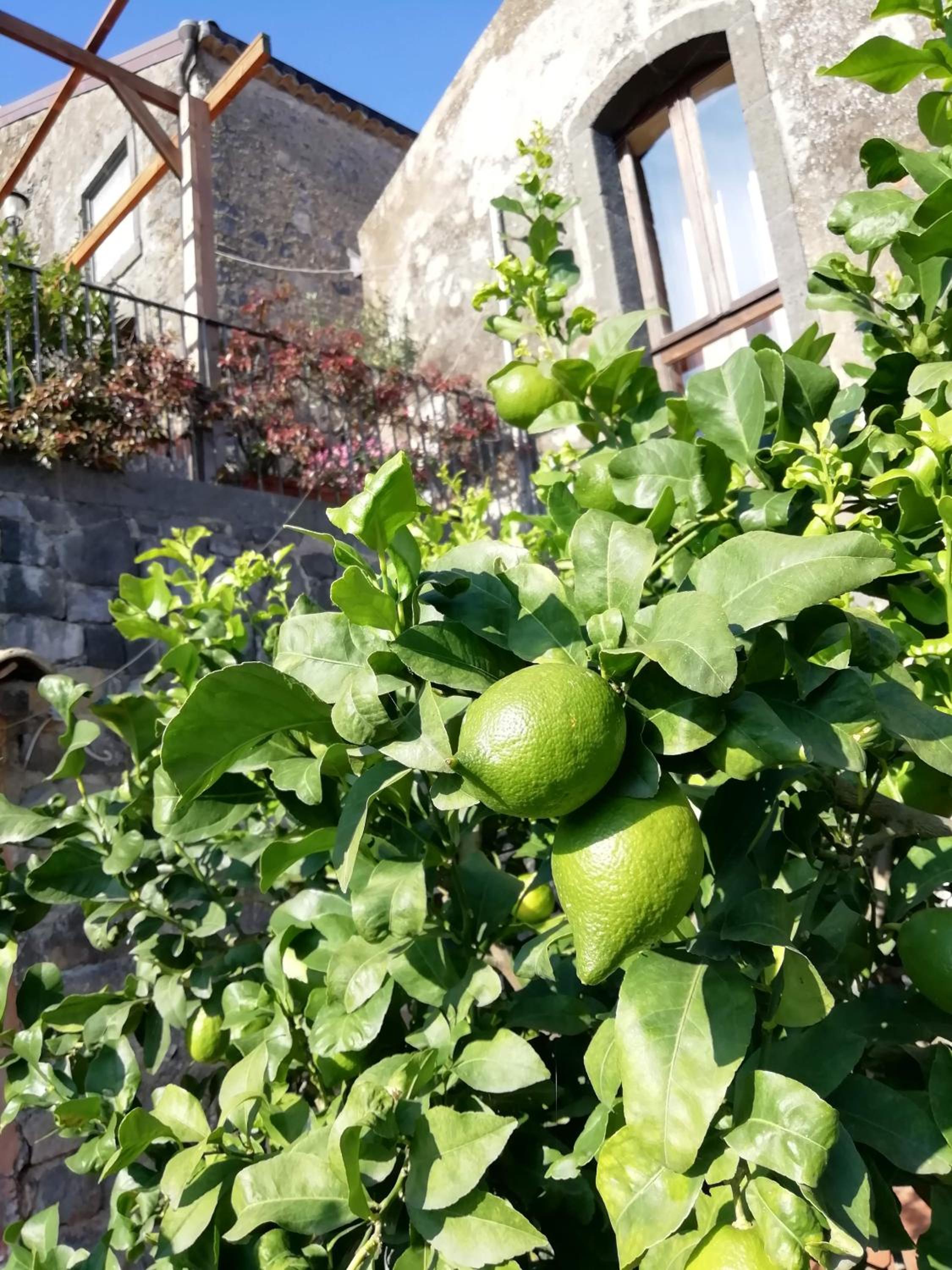 La Pietra Antica O' Munti