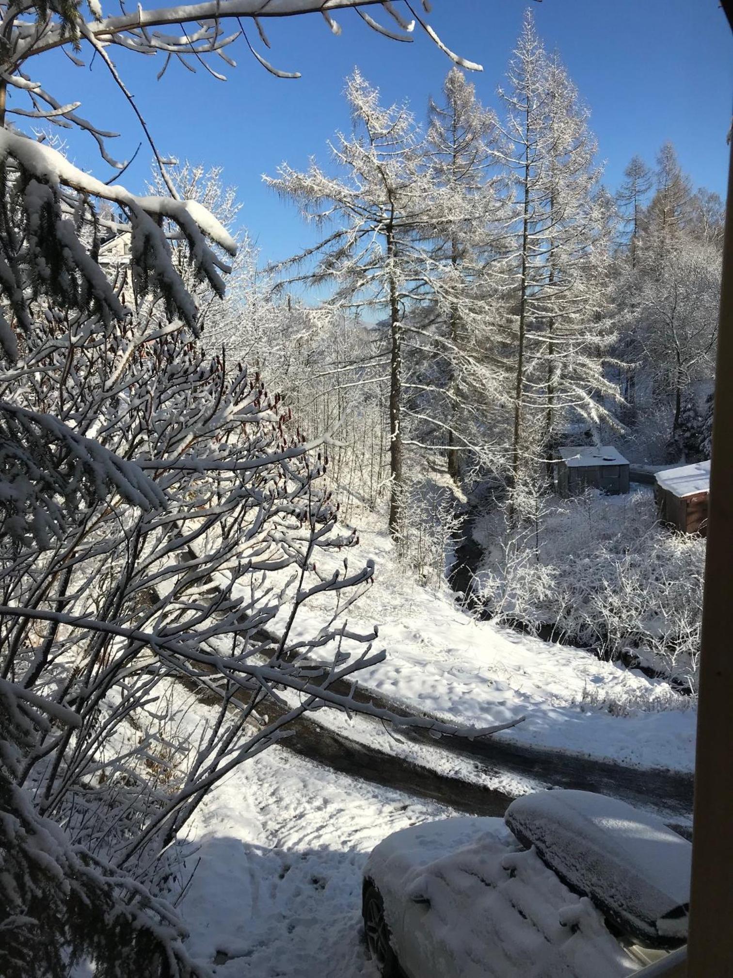 Pasieka - Dom Wypoczynkowy - Property Image 44