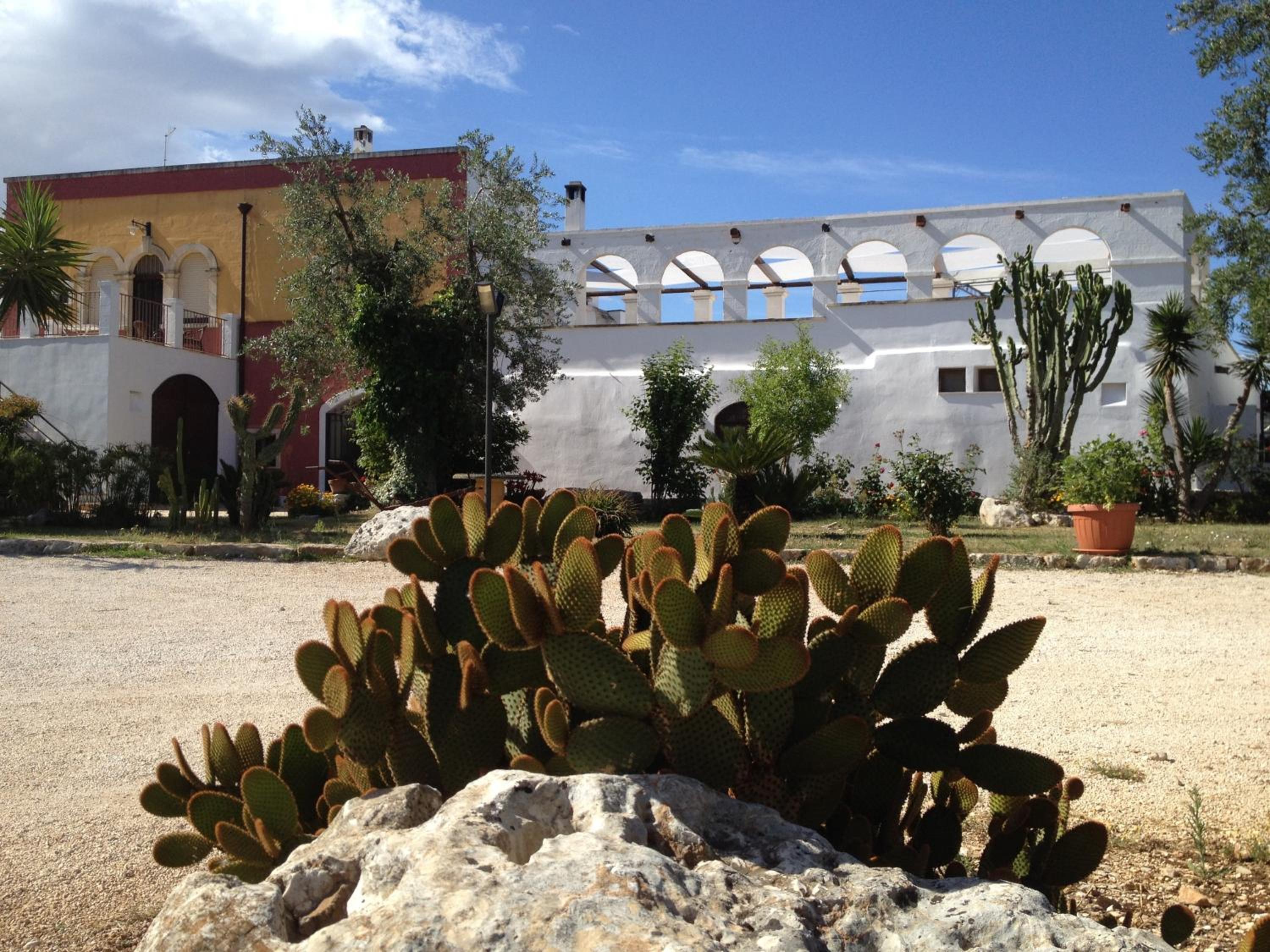 Photo 47