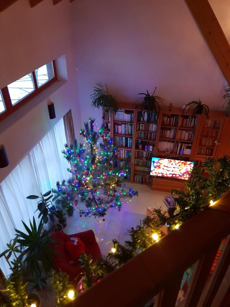 Photo 44