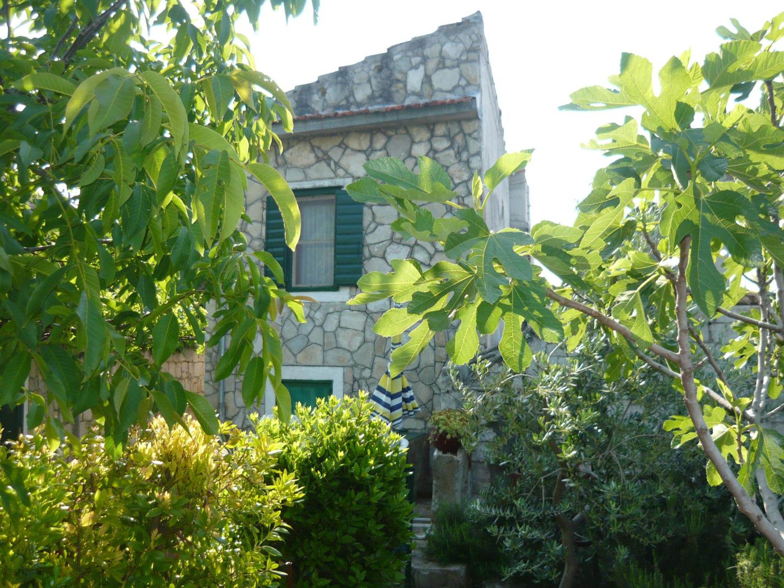 Photo 27