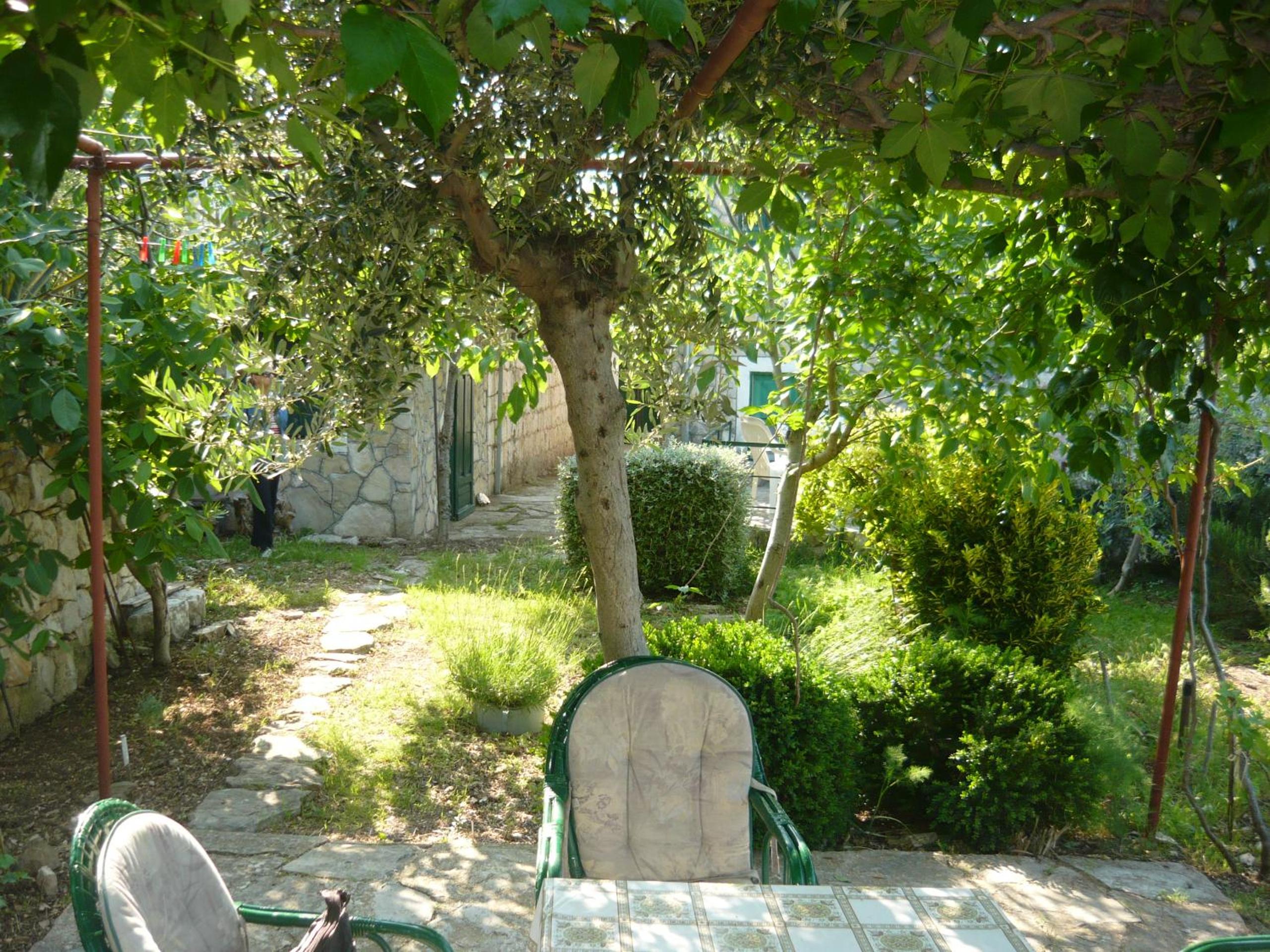 Photo 30