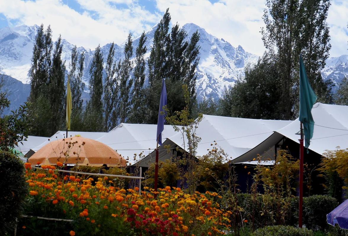 Tiger Camp Nubra
