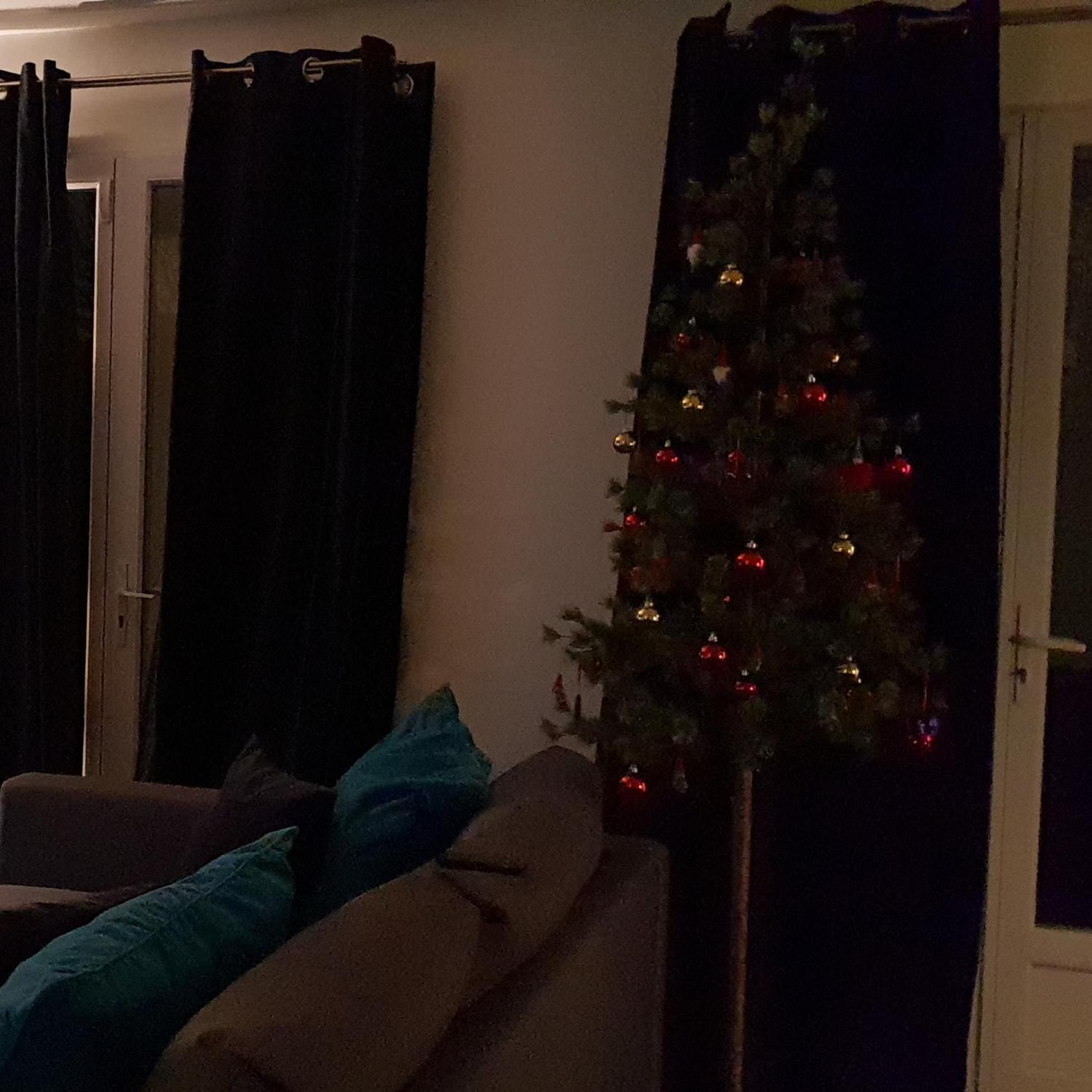 Photo 12