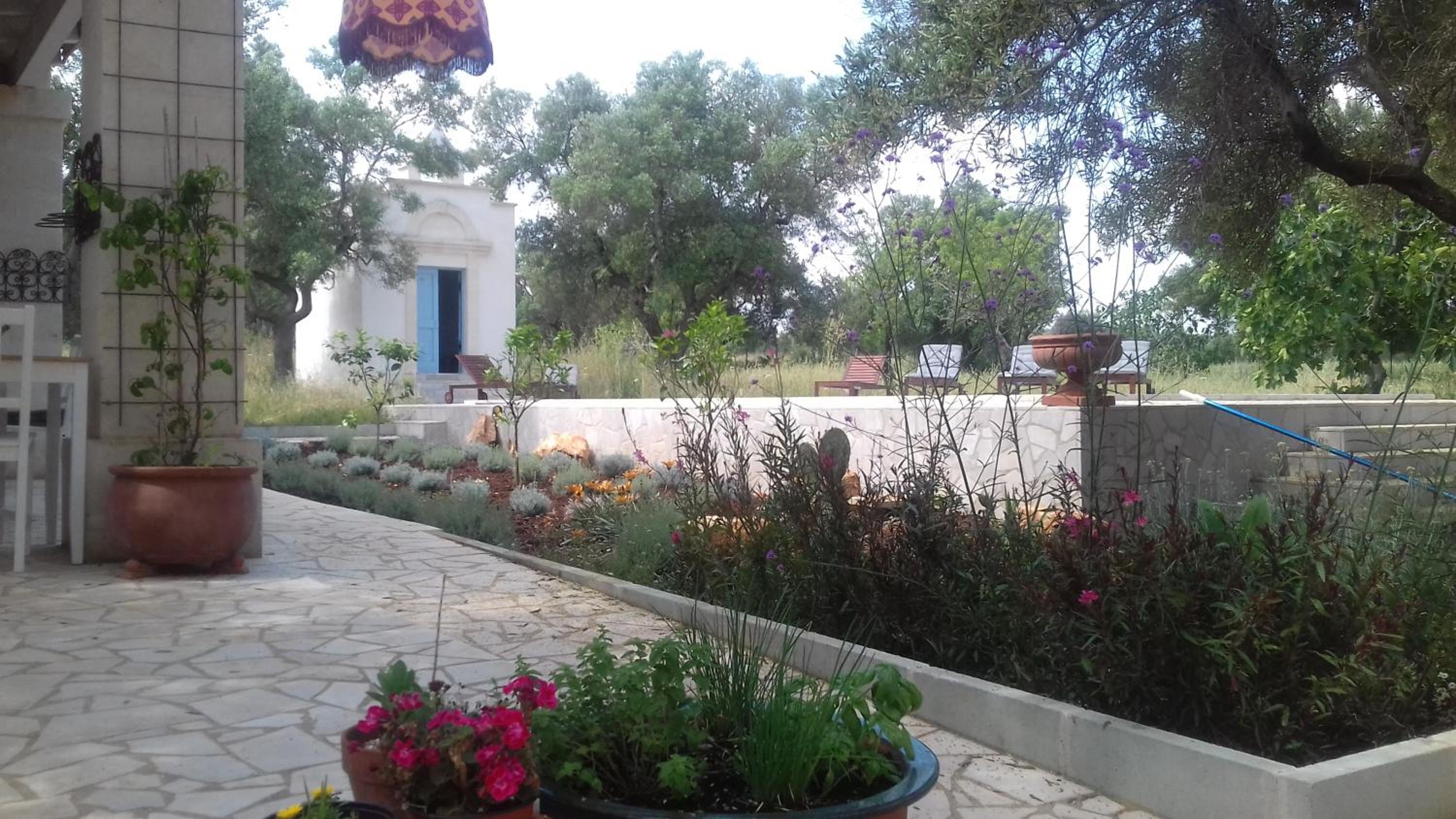 Photo 8