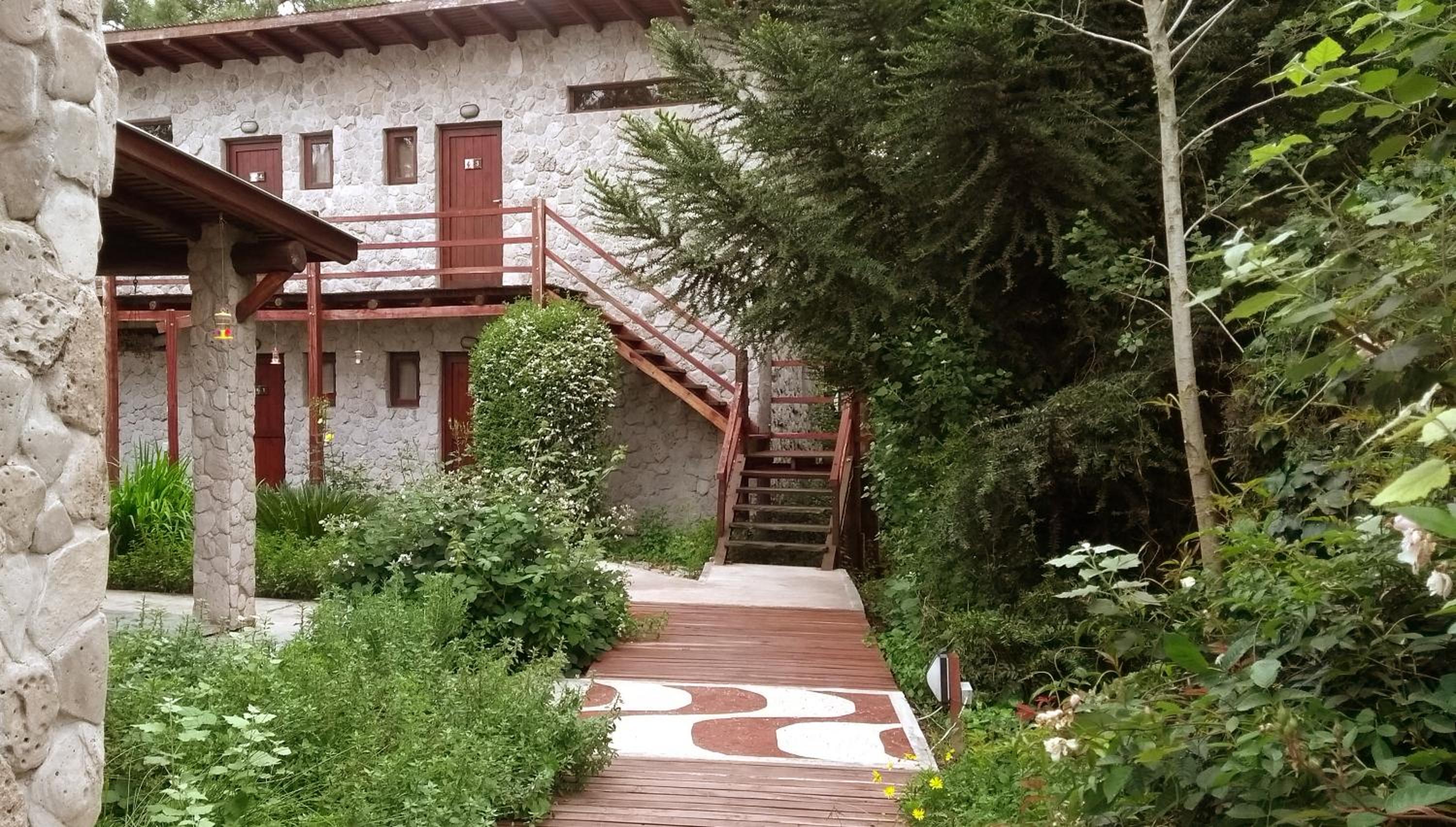 garden