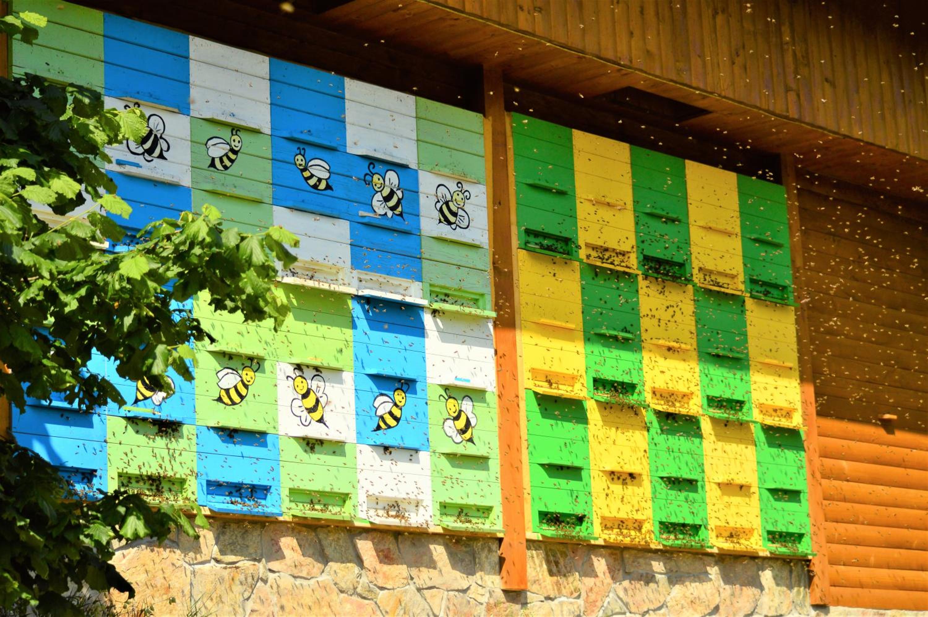 Sleeping with the bees Kozjak