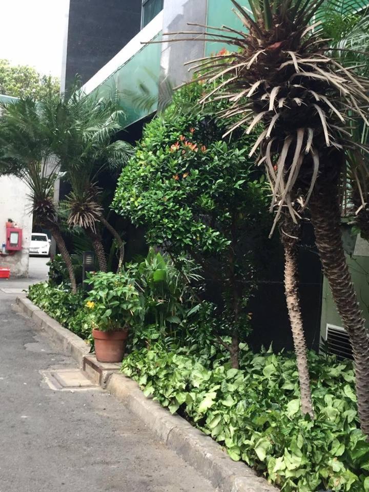Nup Saigon Homestay