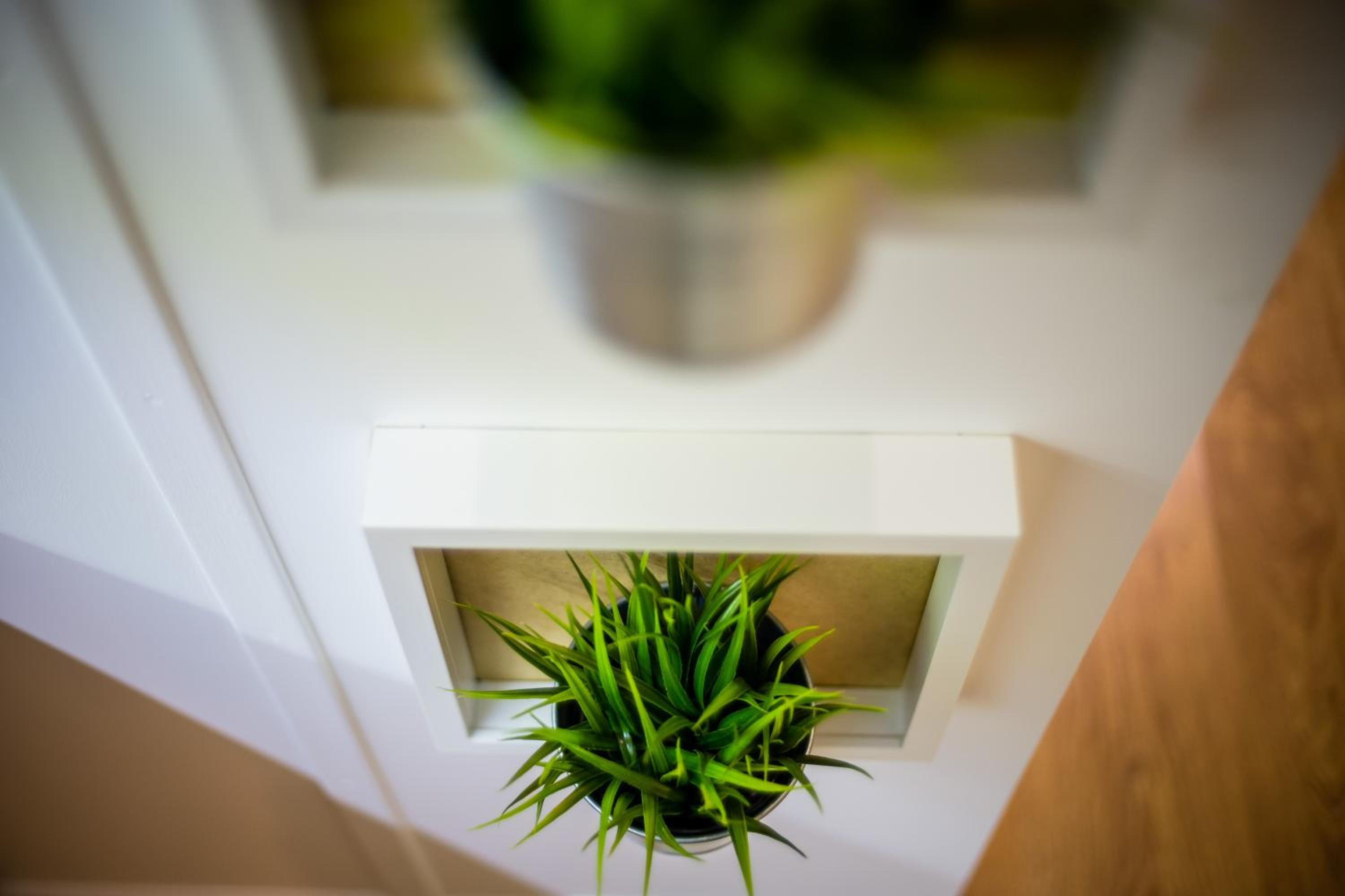 Apartament Wietora WAWELOFTS