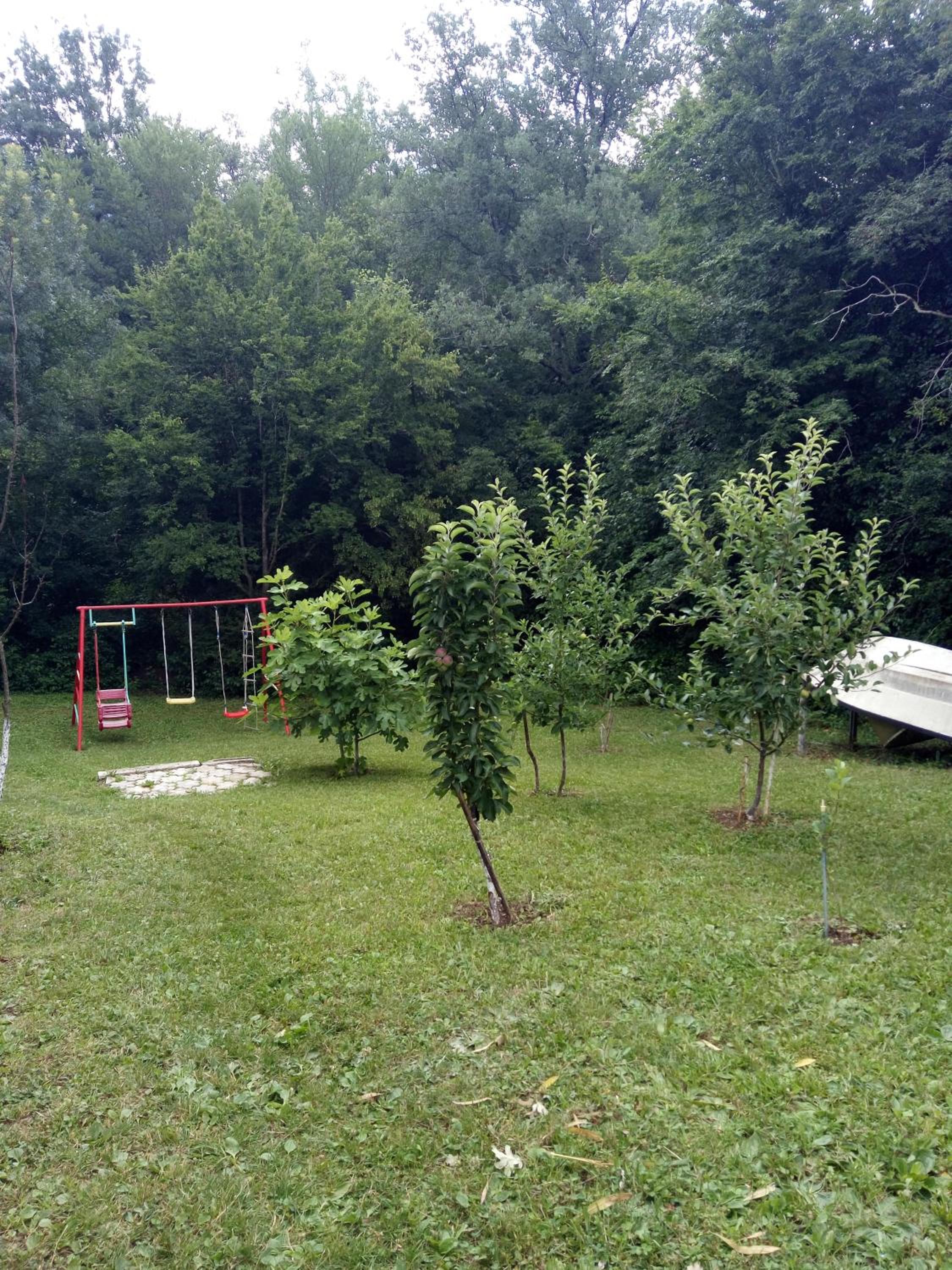 Photo 9