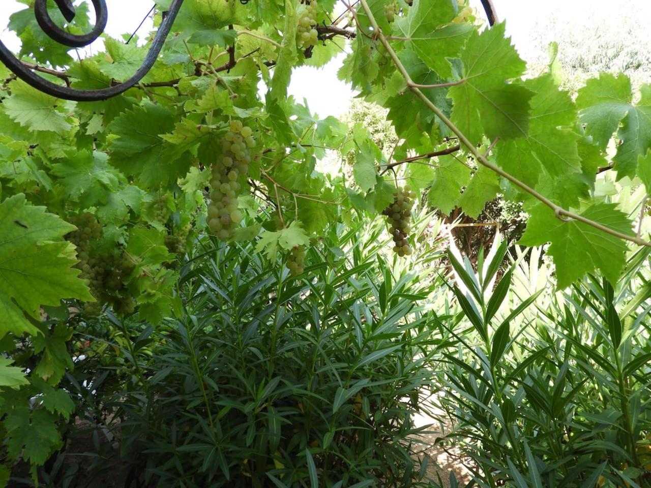 Photo 22