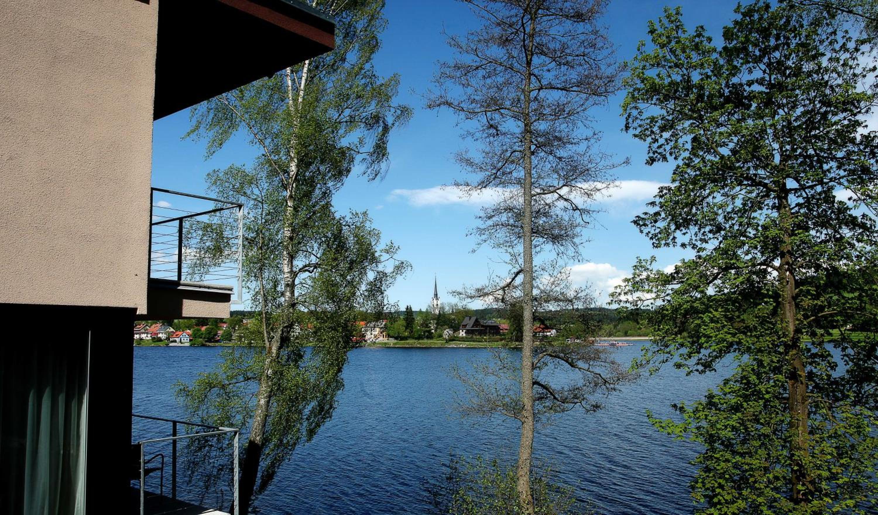 Photo 44