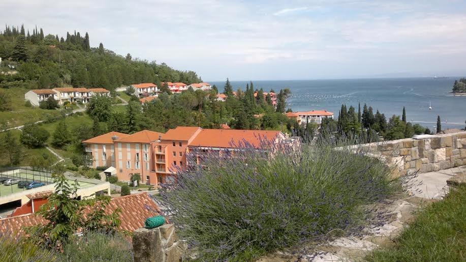 Heart of Strunjan Apartments AL