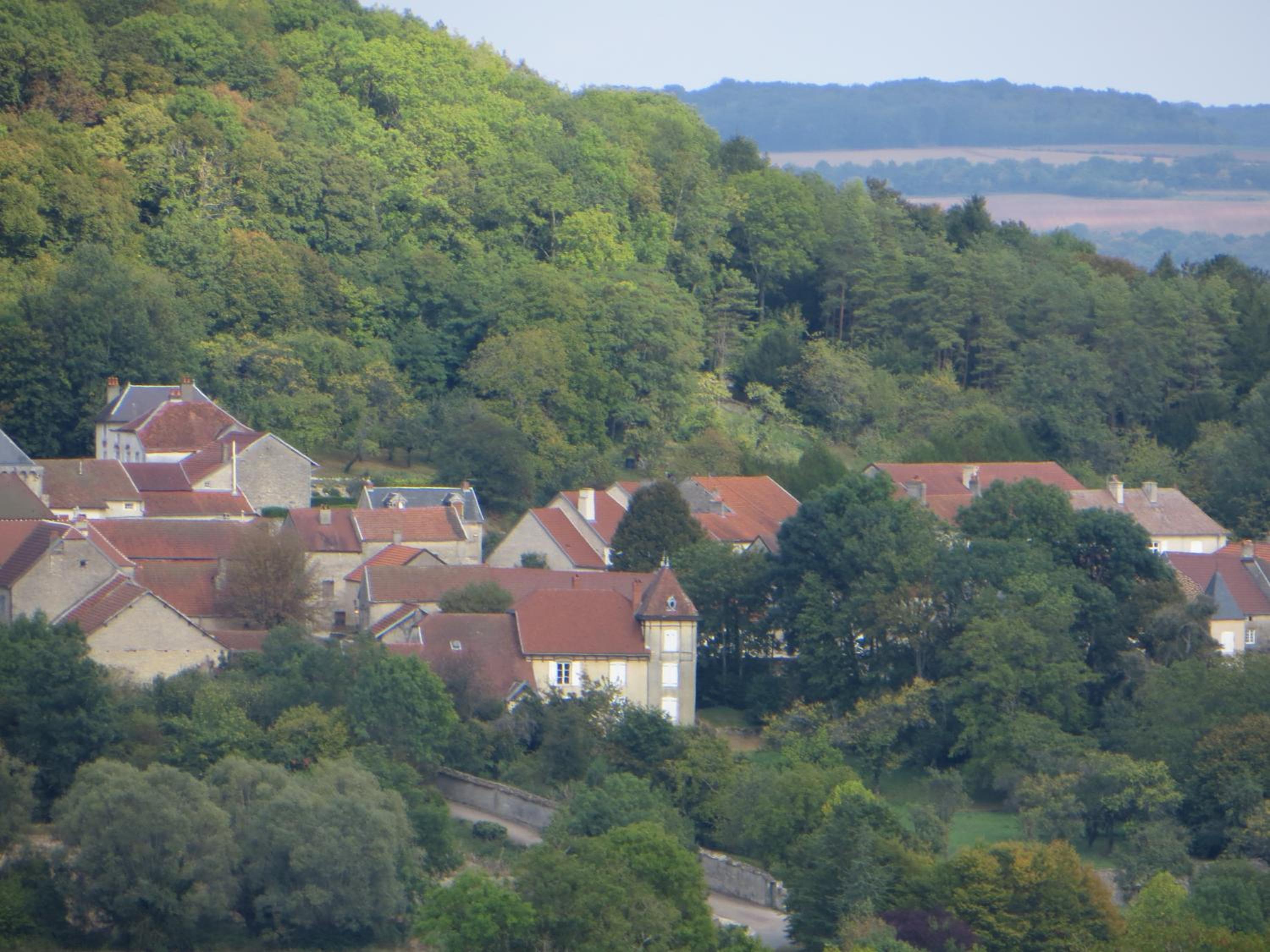 Le Bailli de Montsaugeon view 4