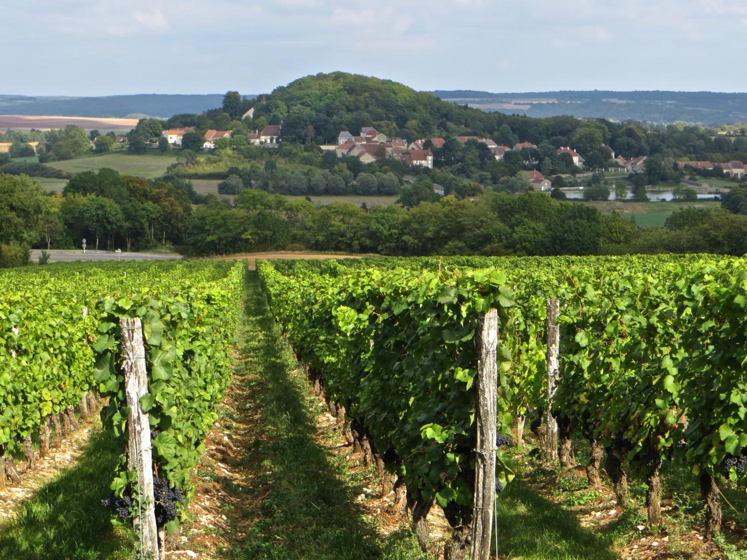 Le Bailli de Montsaugeon view 2
