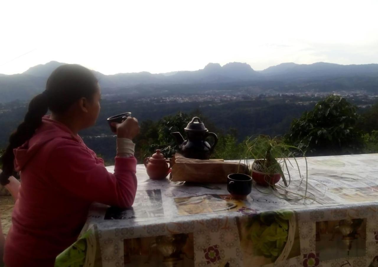 Cabañas Buenavista