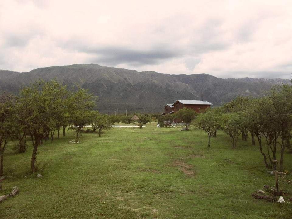 La Urdimbre