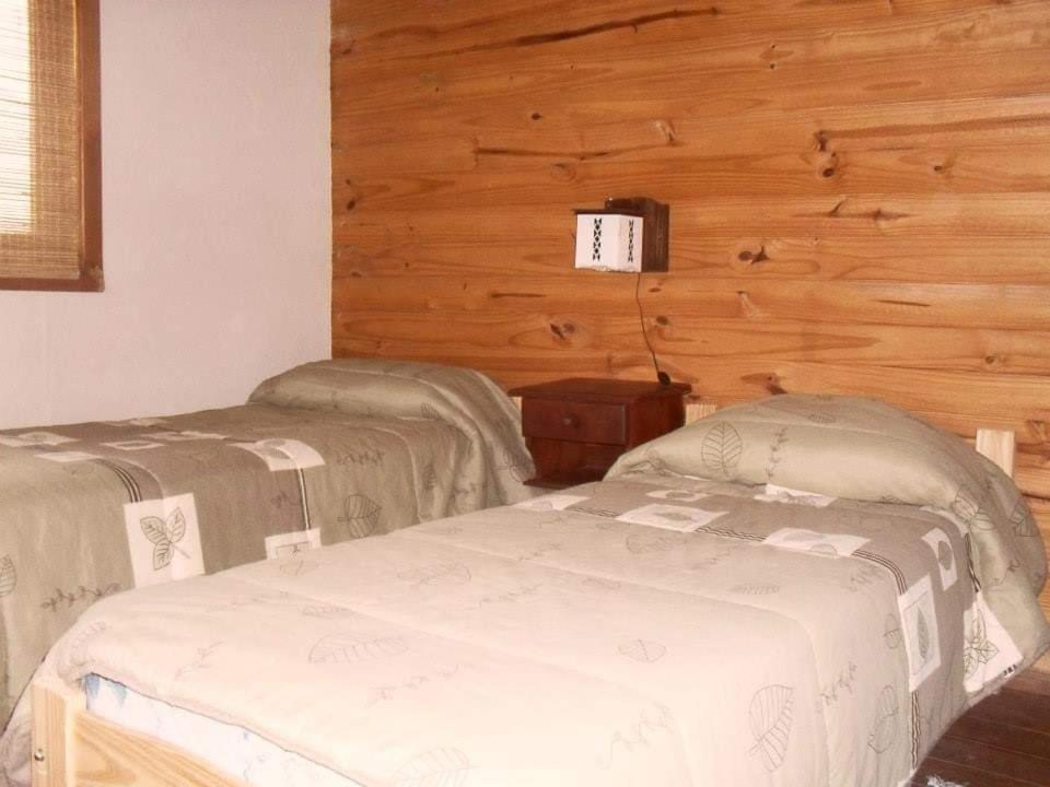 La Urdimbre