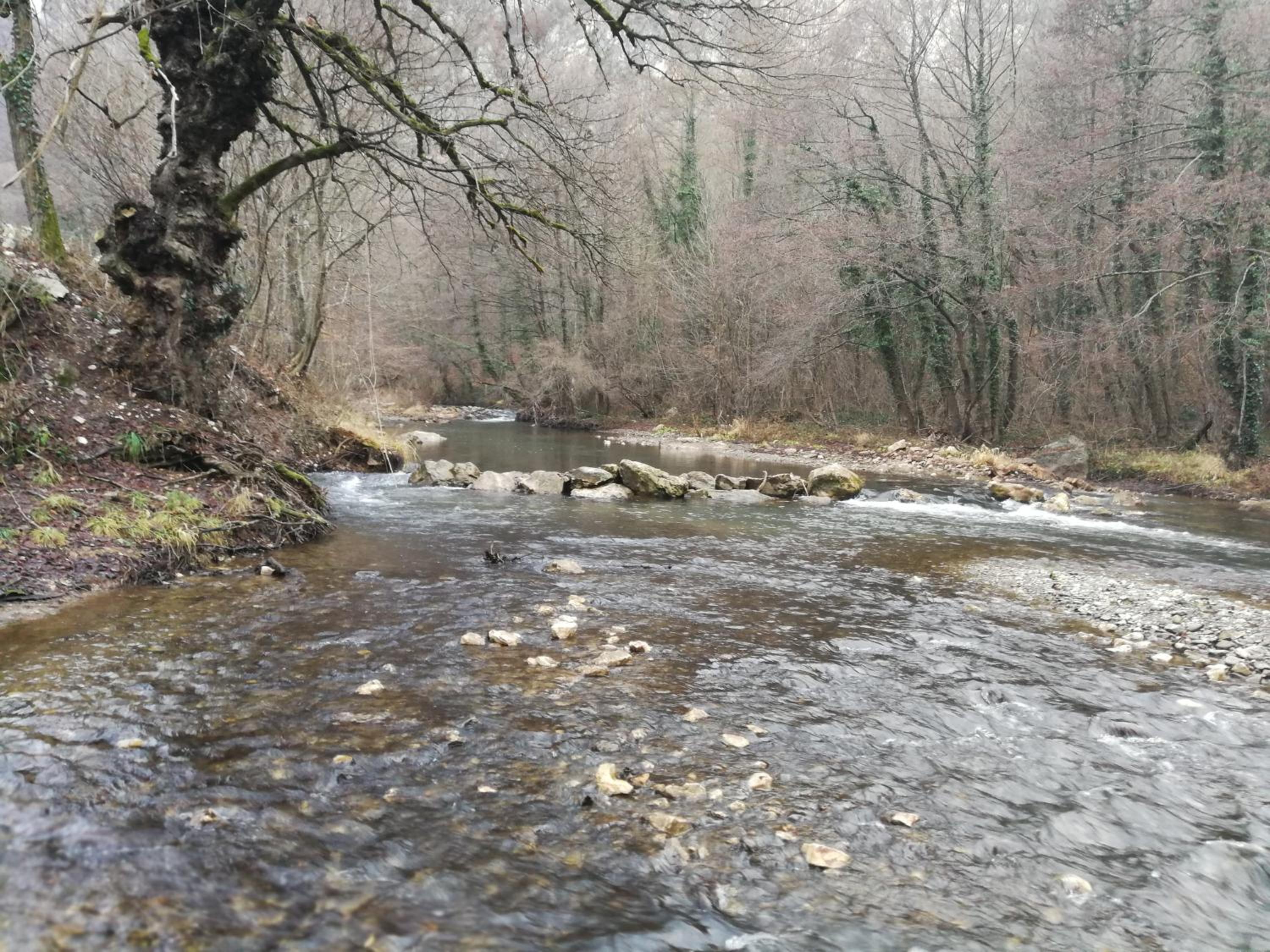 Photo 46