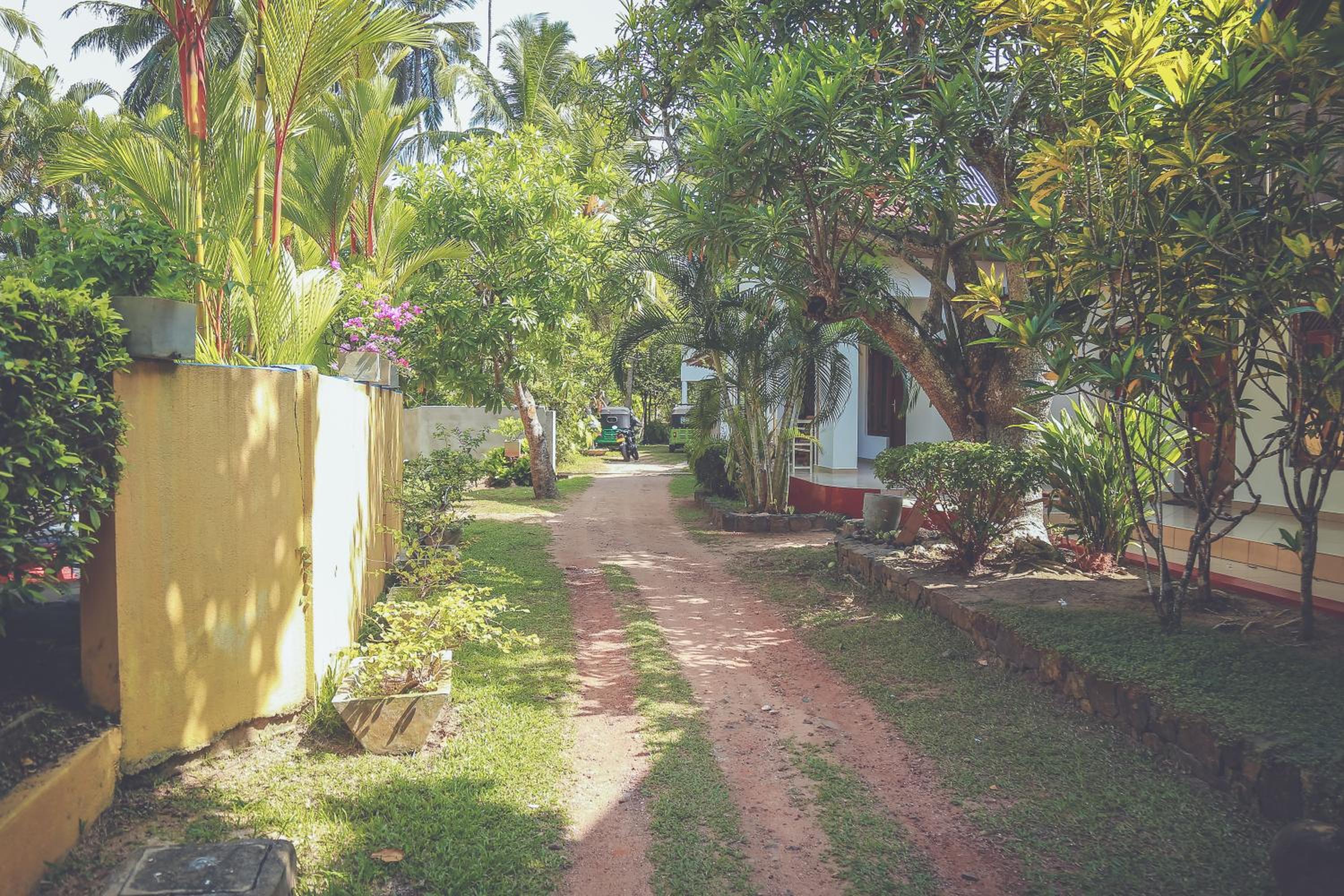 Hikka Surf Hostel view 5