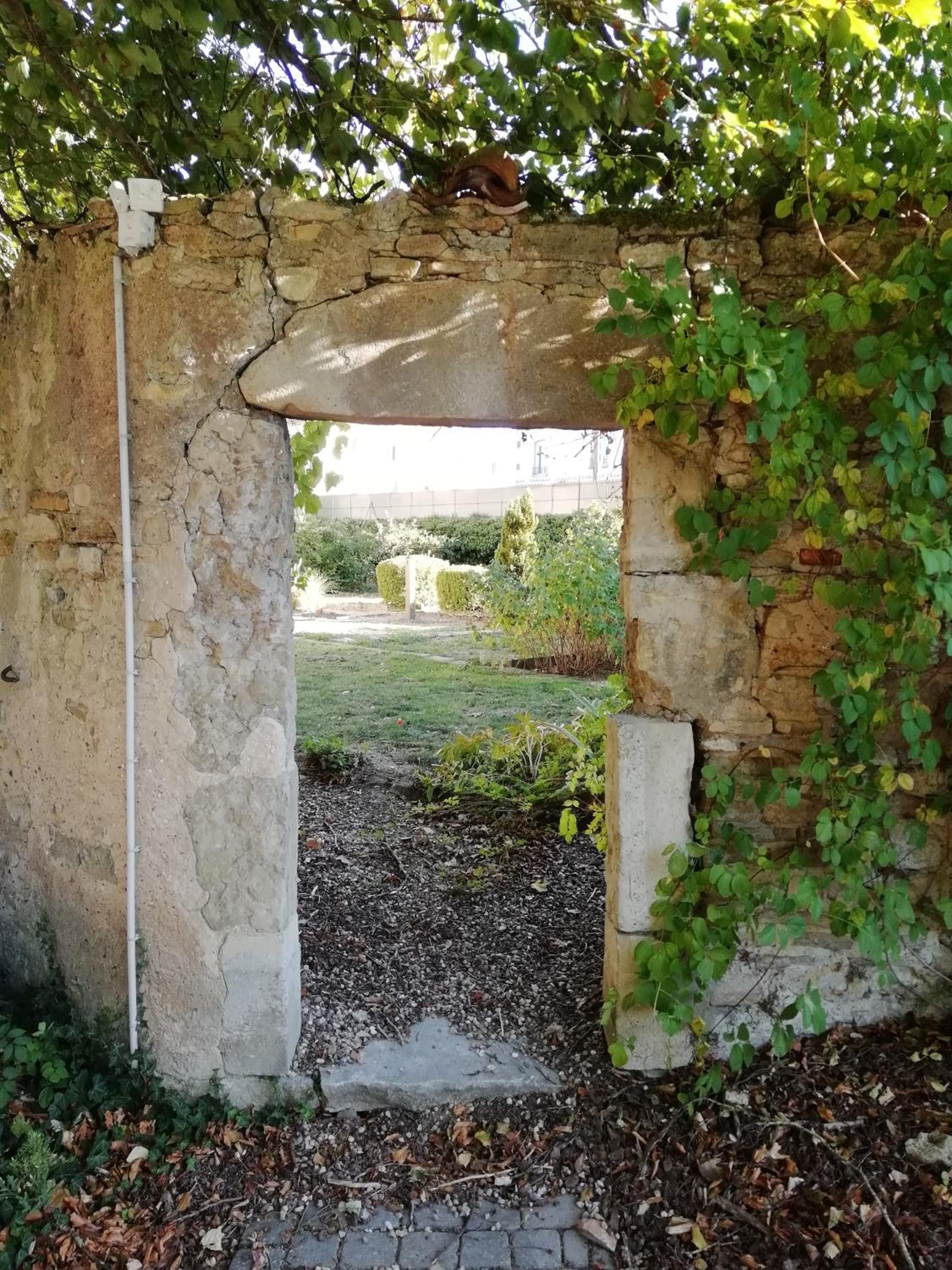 Photo 46