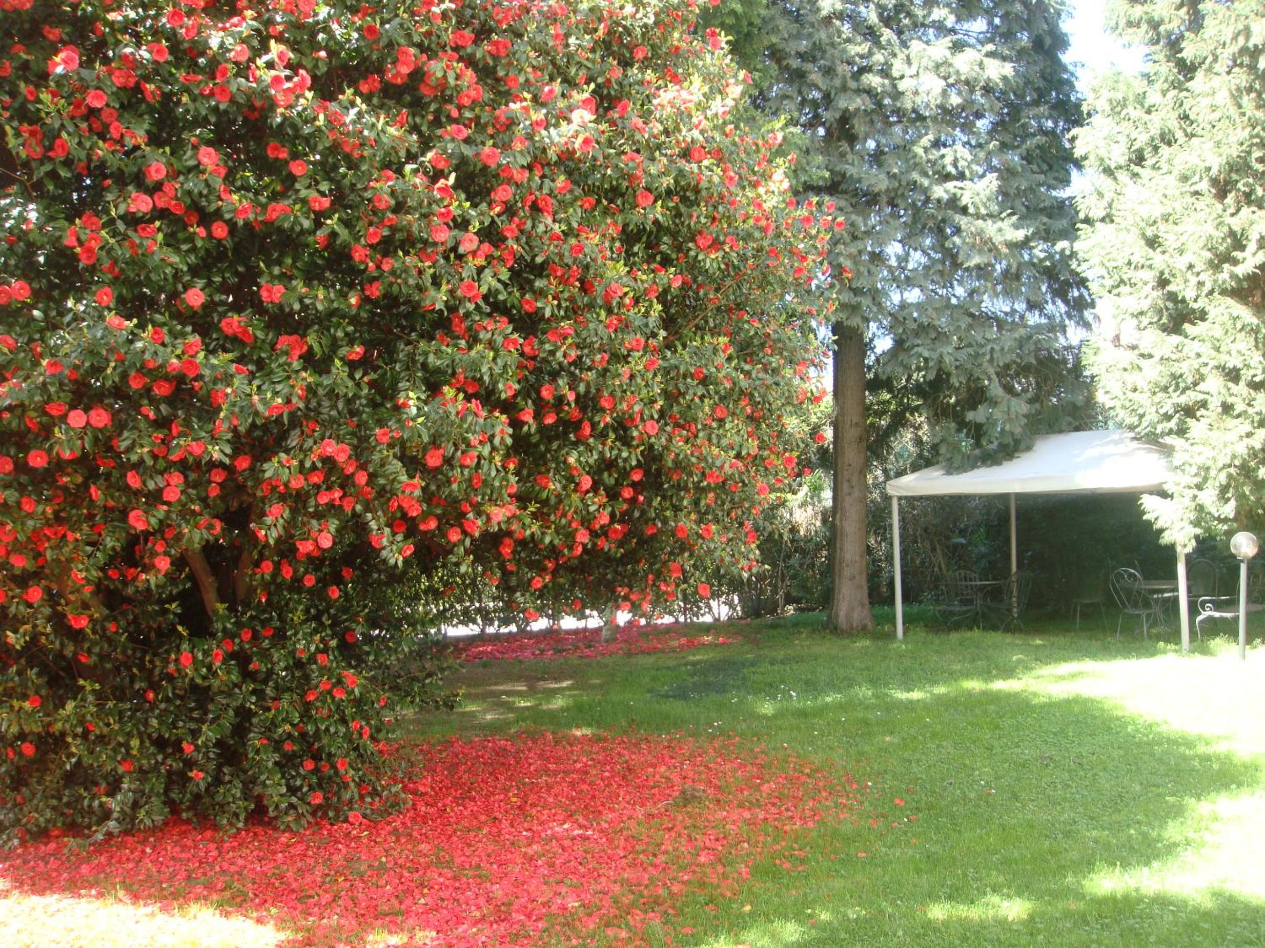 Villa Cardano Maccagno close to every destination
