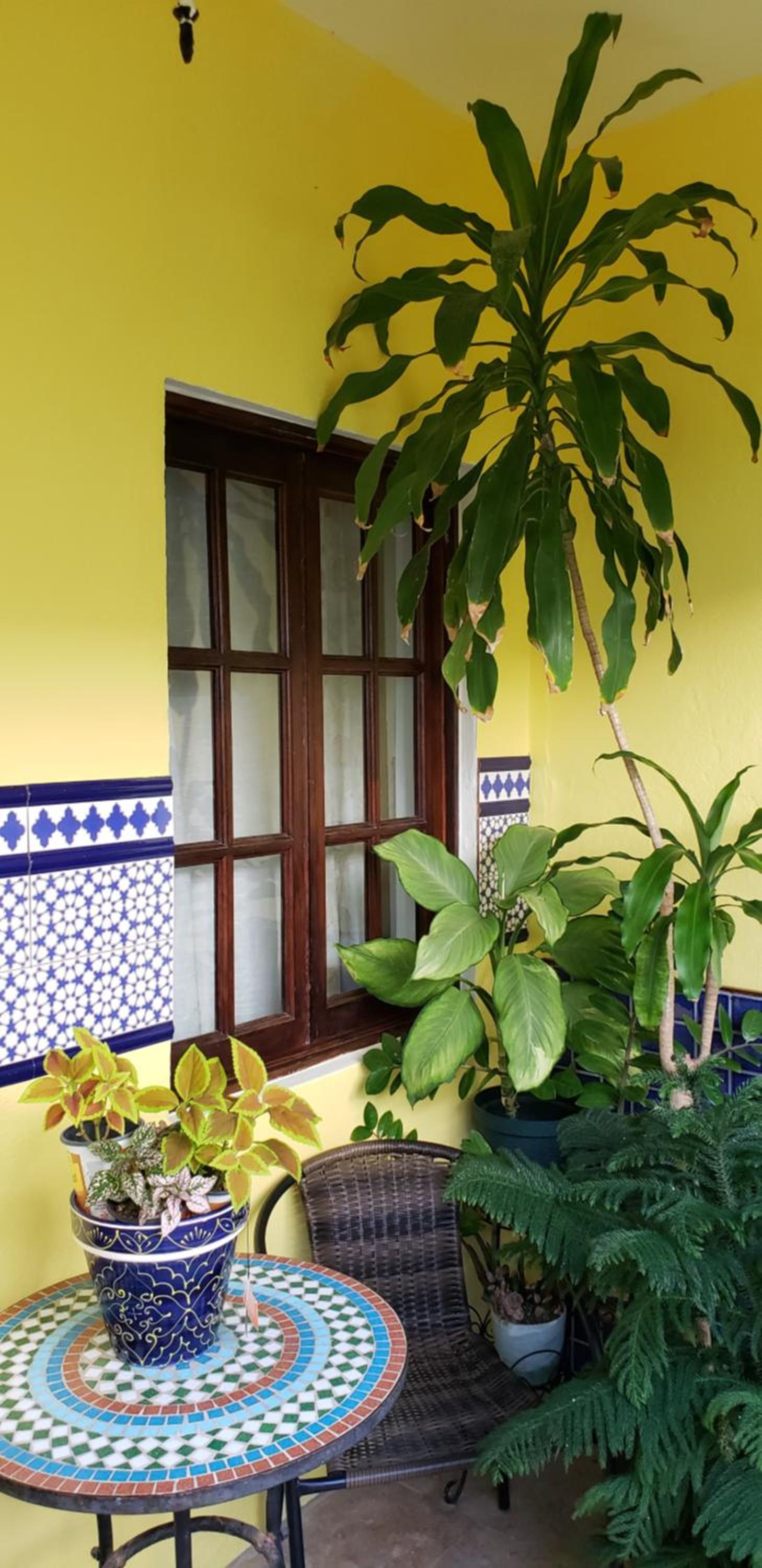 Foto 18 de 90 de Andalucia Guest House