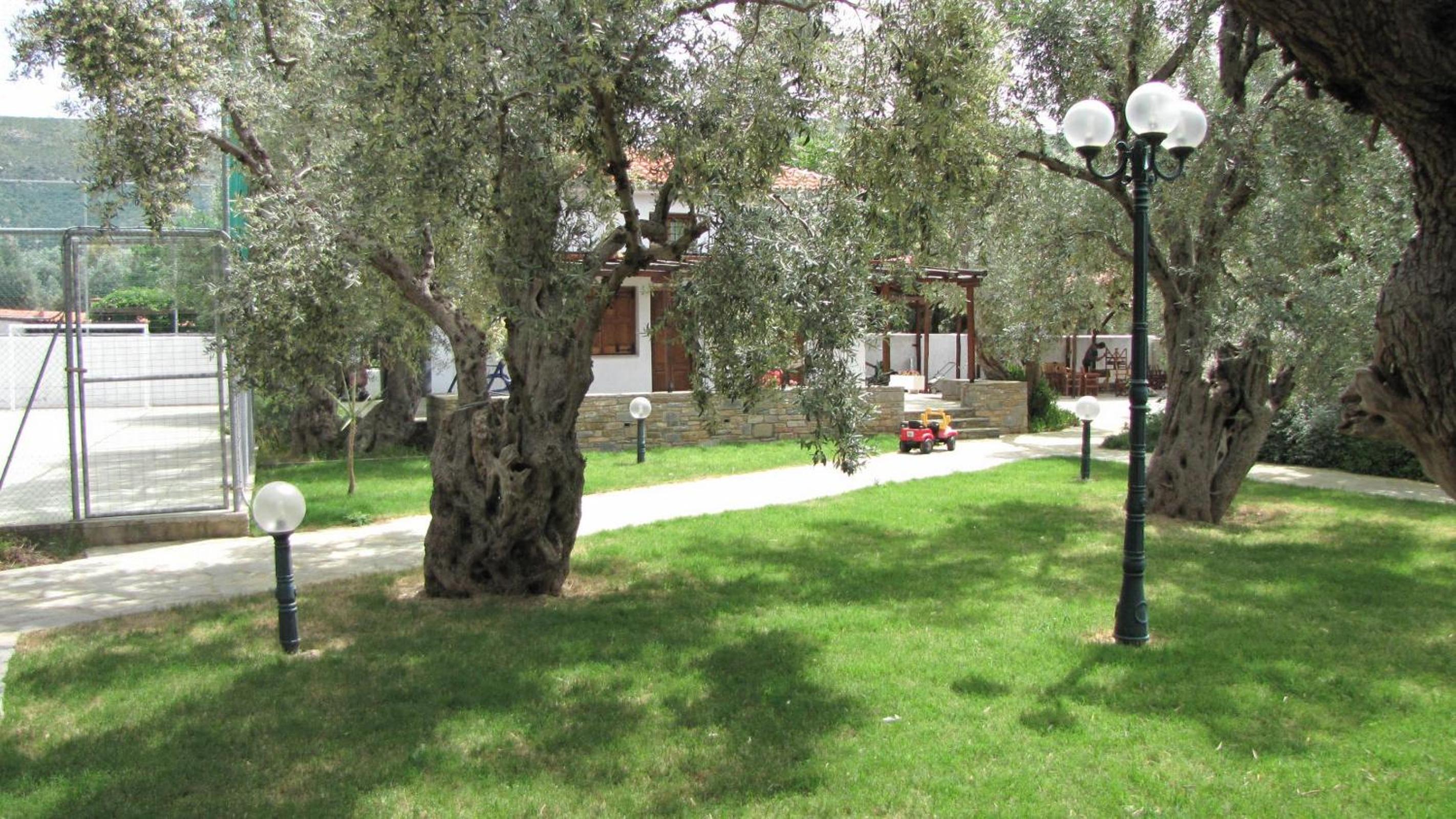 Photo 43