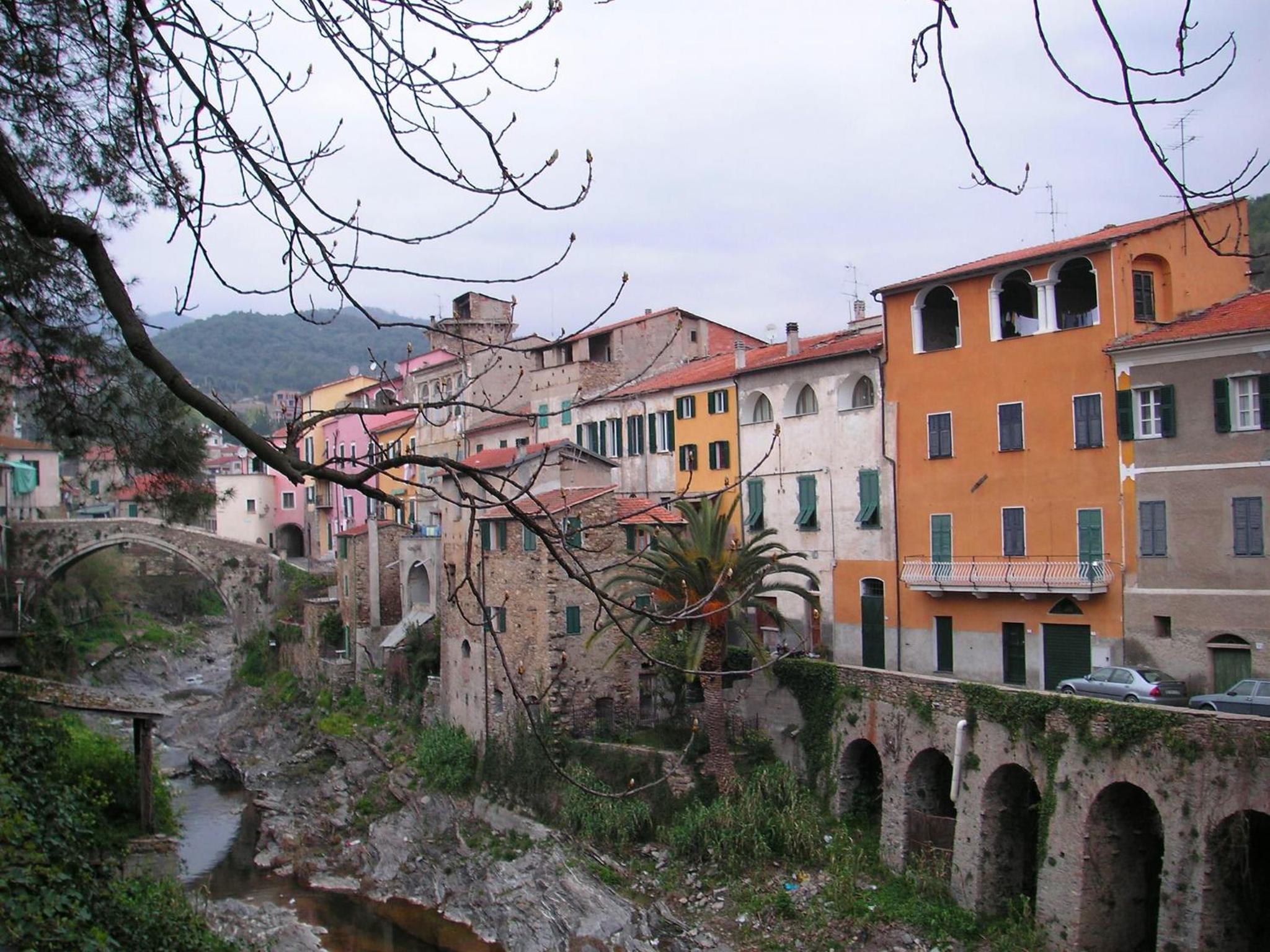 Photo 41