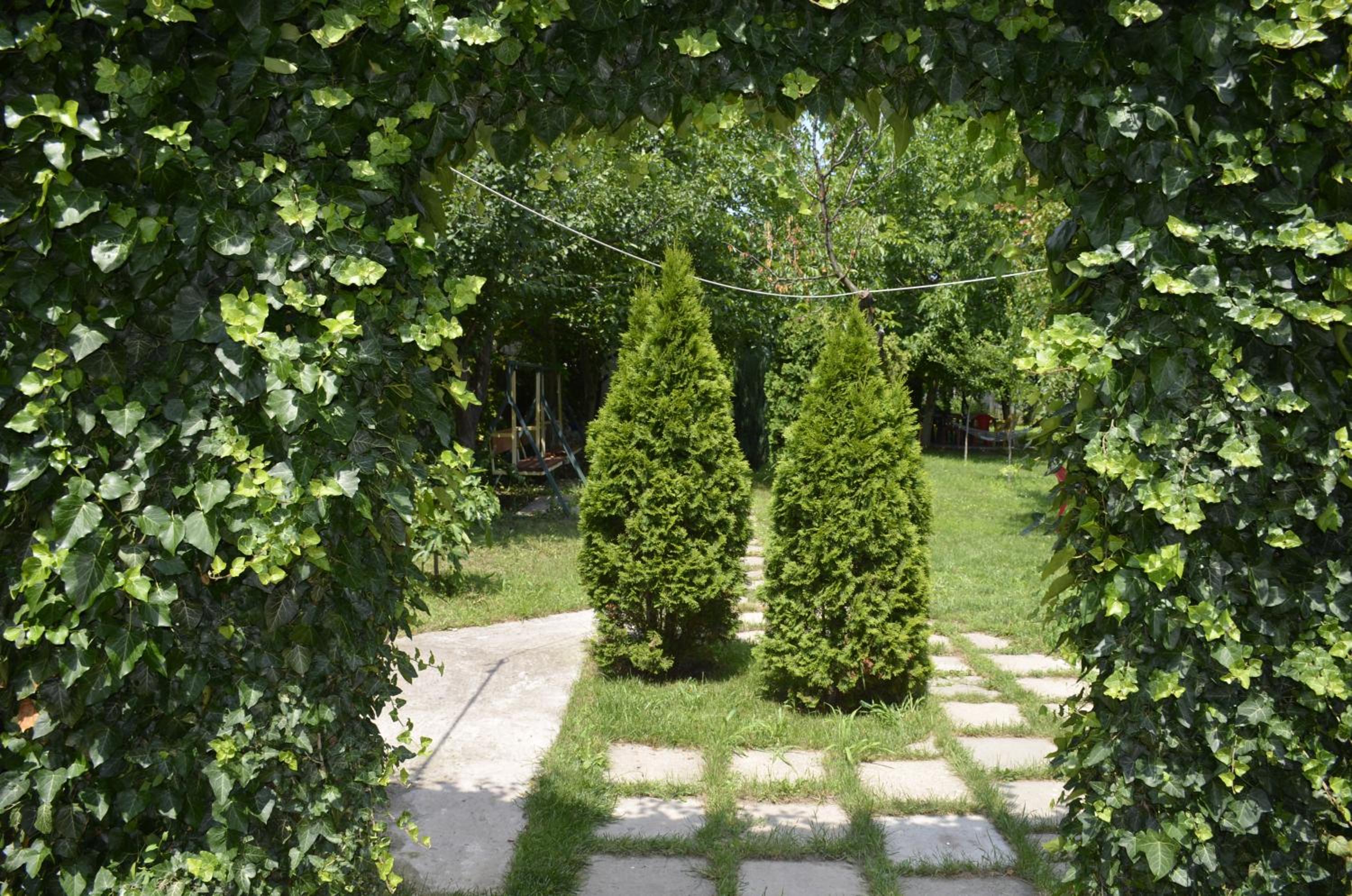 Photo 15