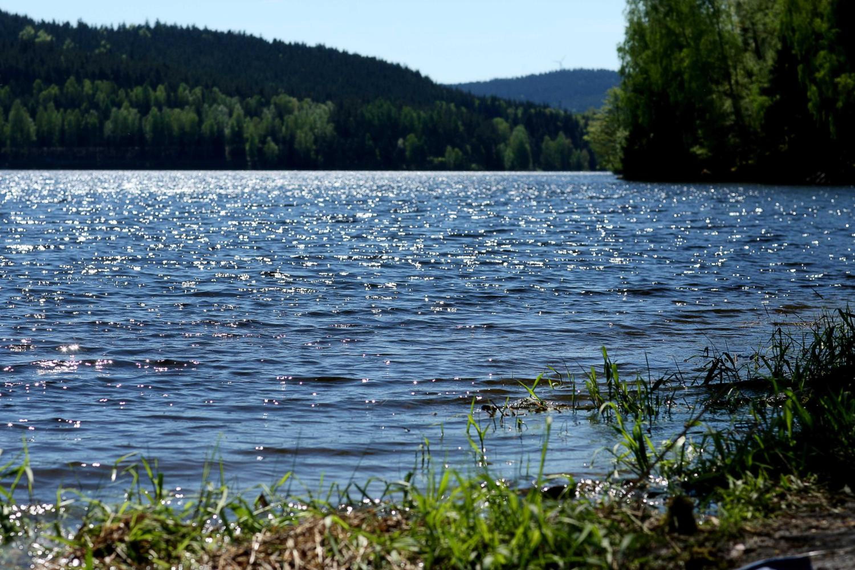 Photo 47