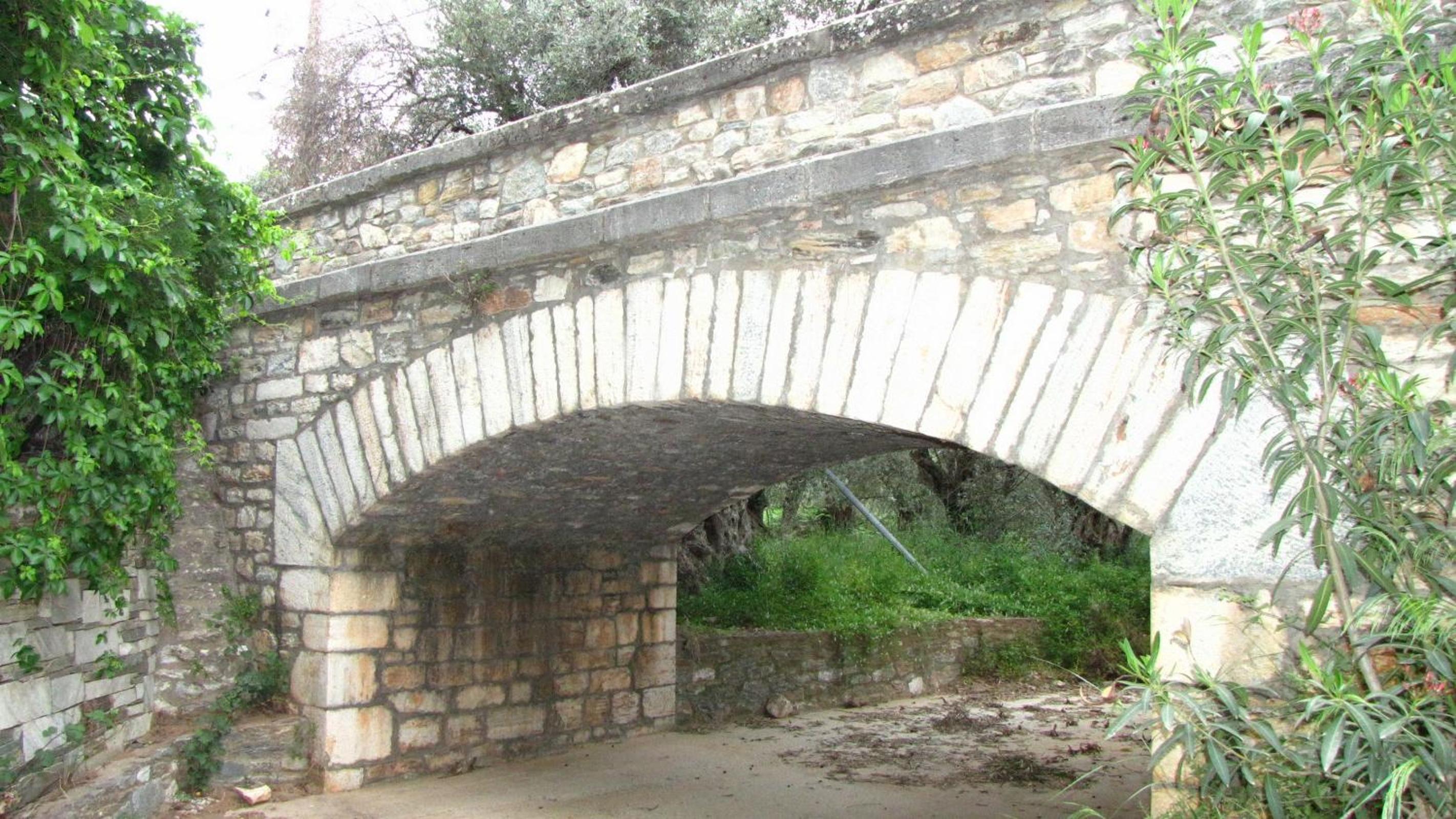 Photo 31