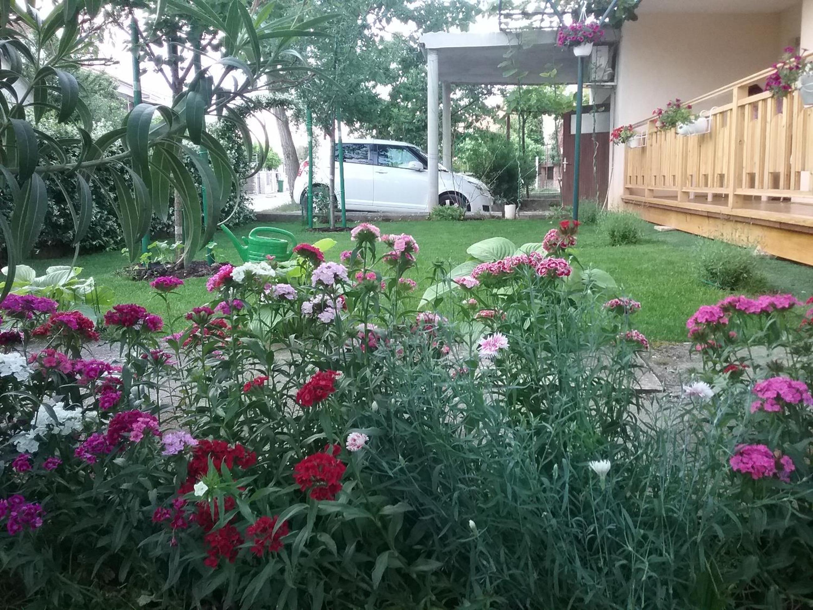 Apartment Mirjana view 2