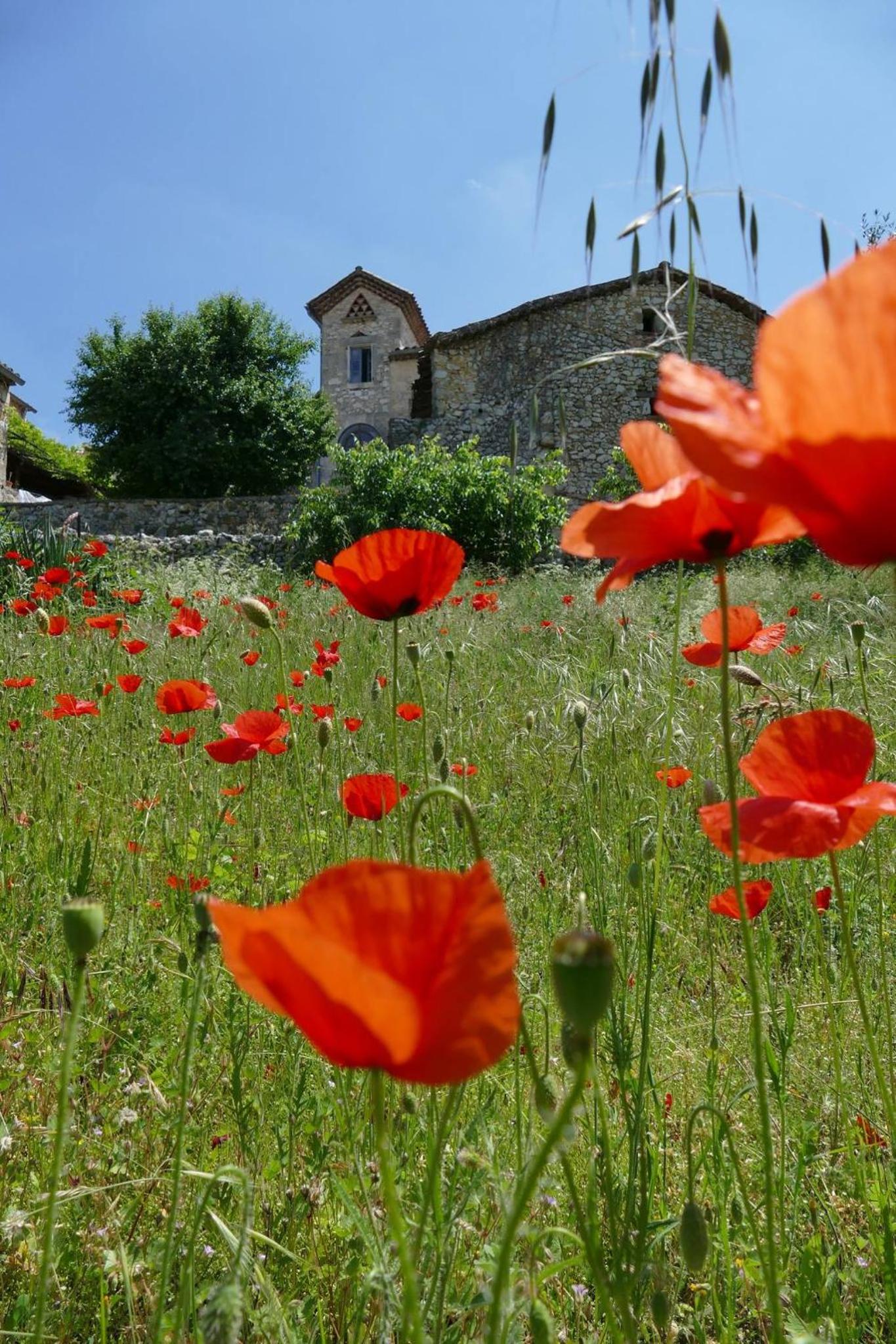 B&B Champdelaplume view 5