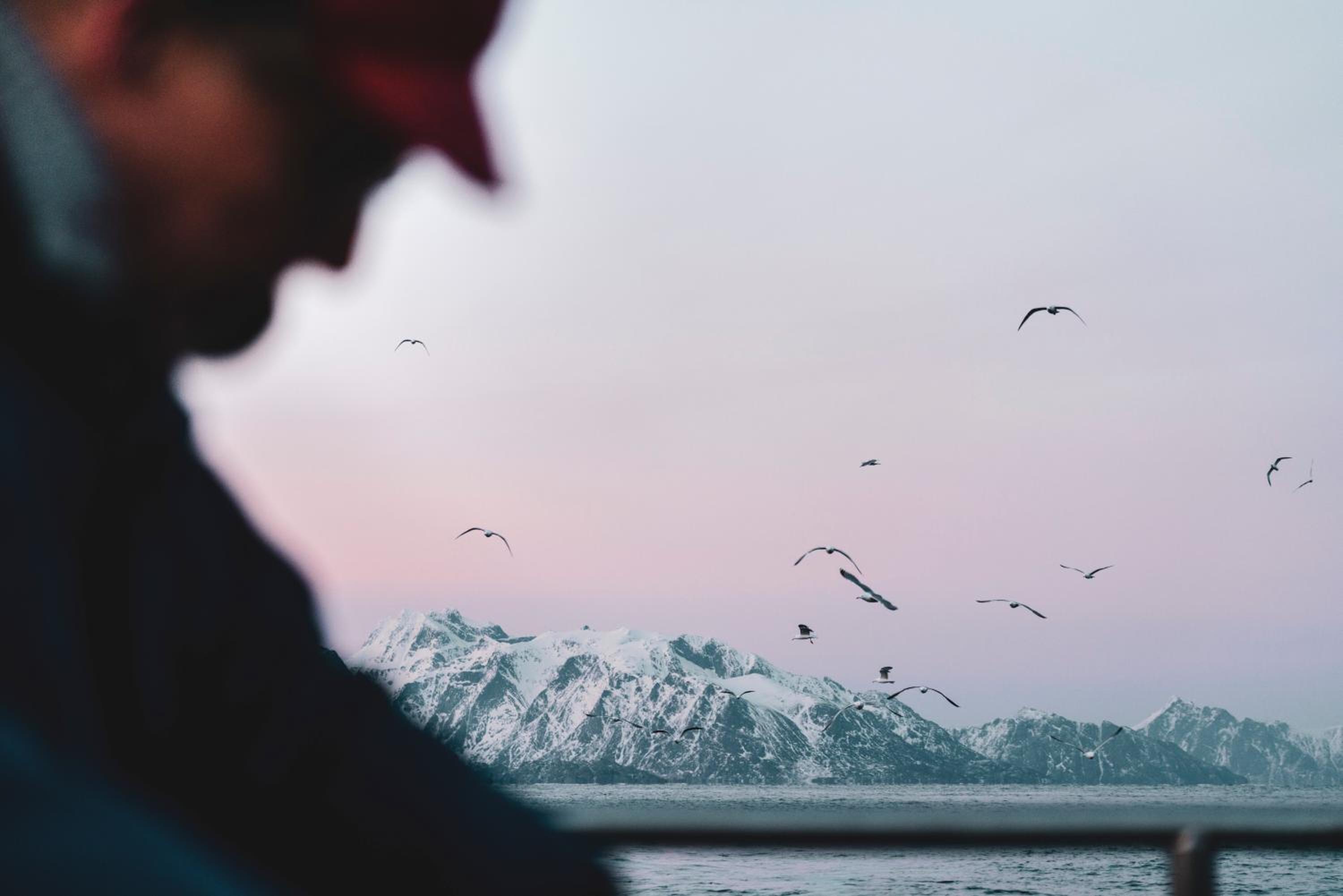 Holmen Lofoten 5