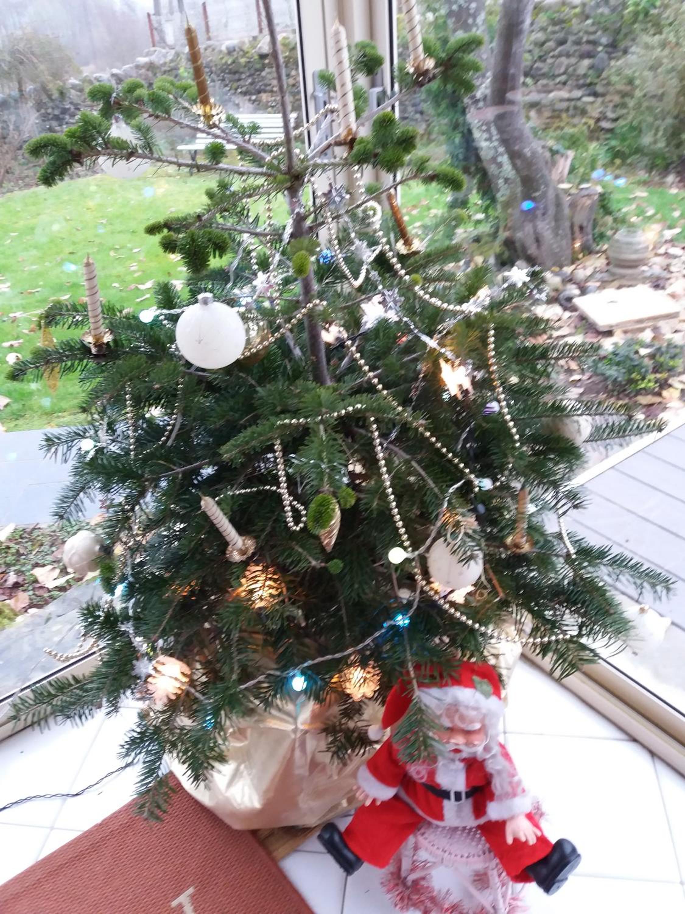 Photo 12
