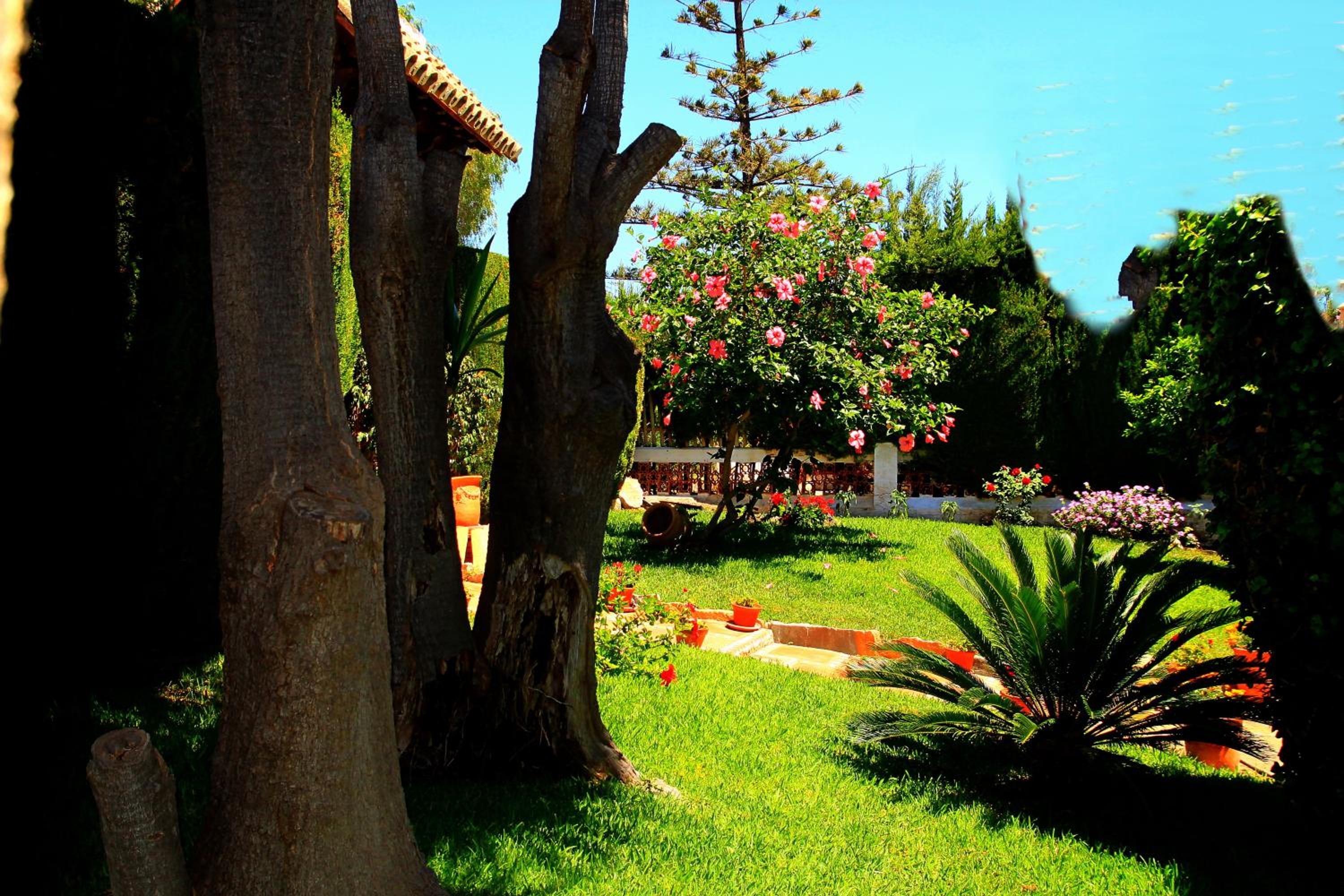 Holiday Home Villa Maria Luz view 4
