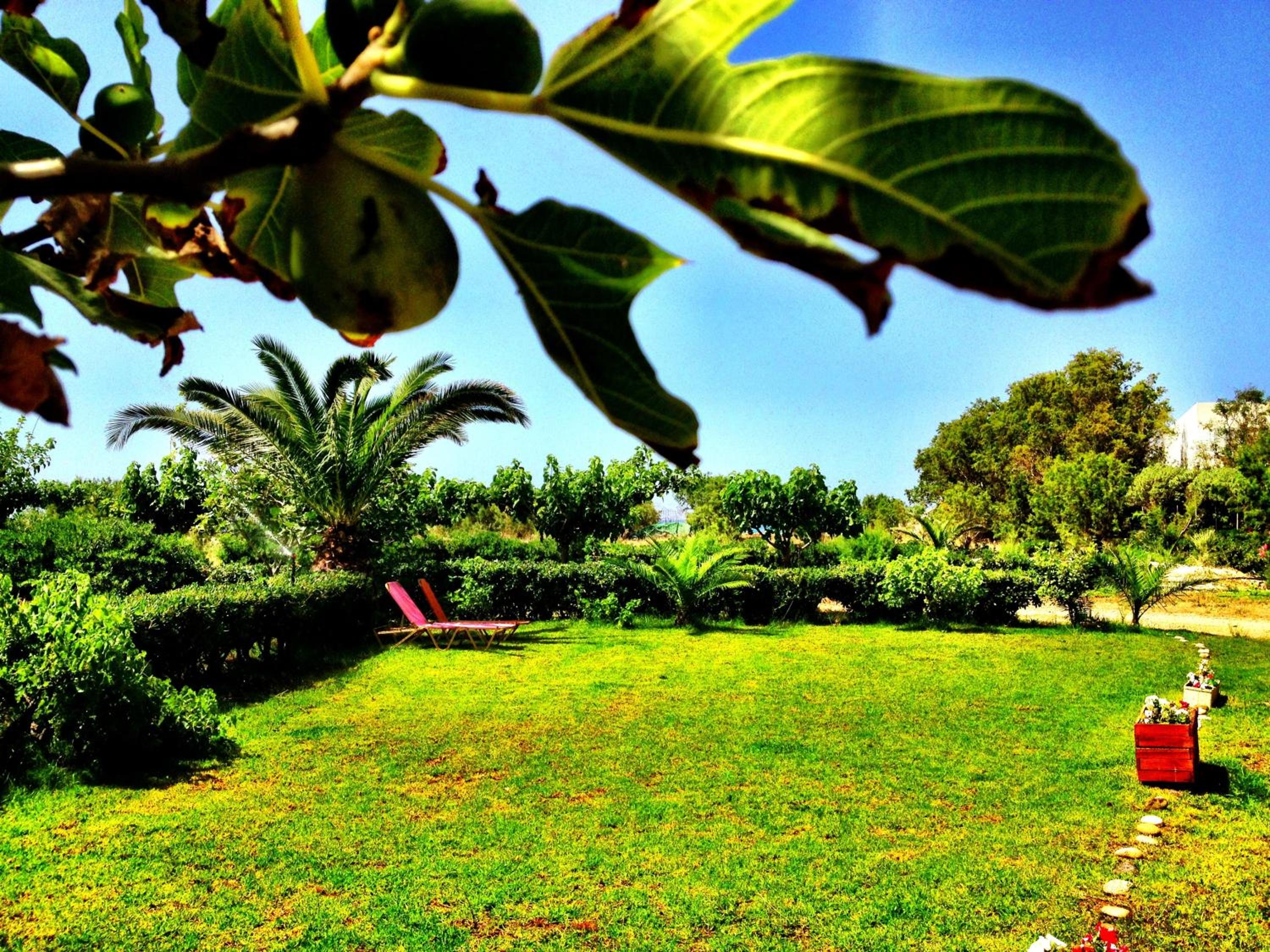 Photo 23