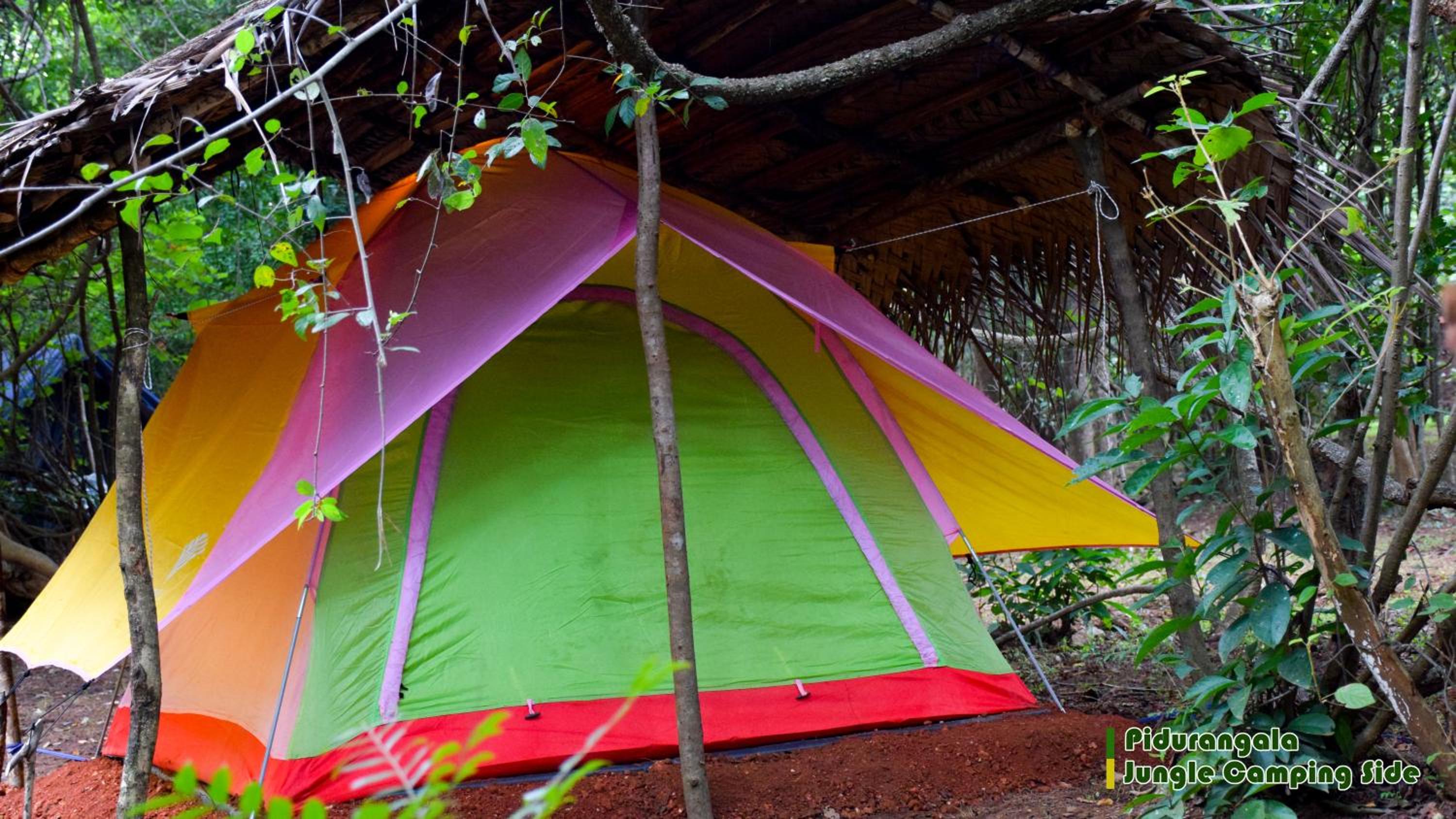 Sigiri Jungle Camping view 2