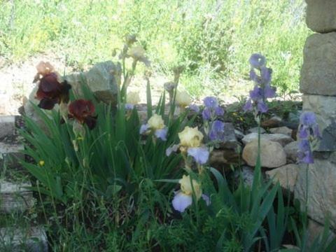 Photo 10